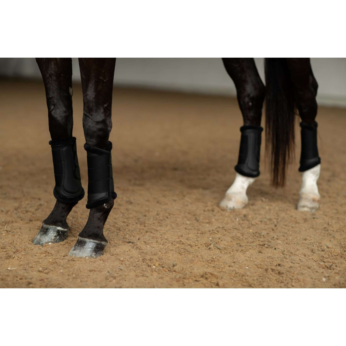 Equestrian Stockholm Parastinchi Nero