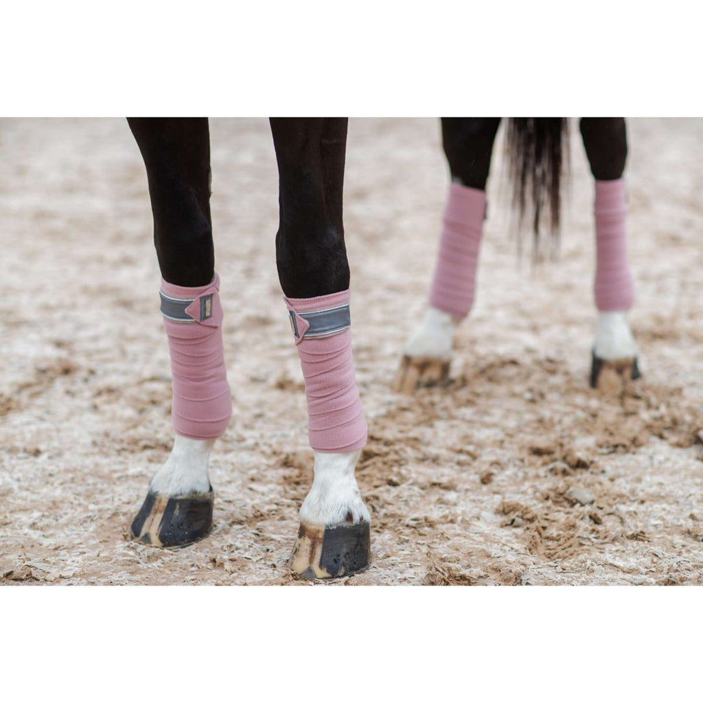 Equestrian Stockholm Bende Rosa