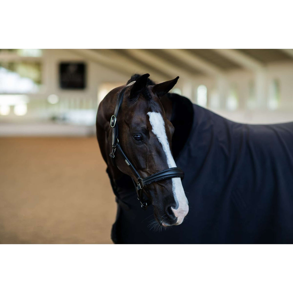 Equestrian Stockholm Cavezza Glimmer Anatomic Leather Nero
