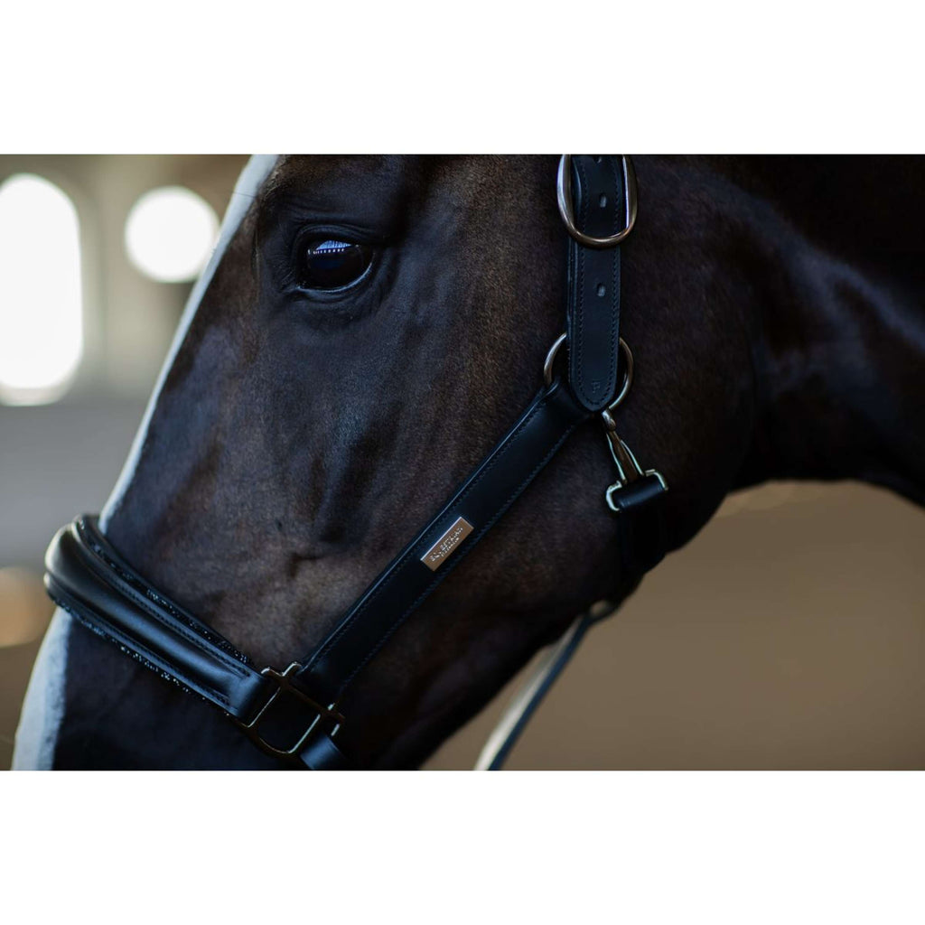 Equestrian Stockholm Cavezza Glimmer Anatomic Leather Nero
