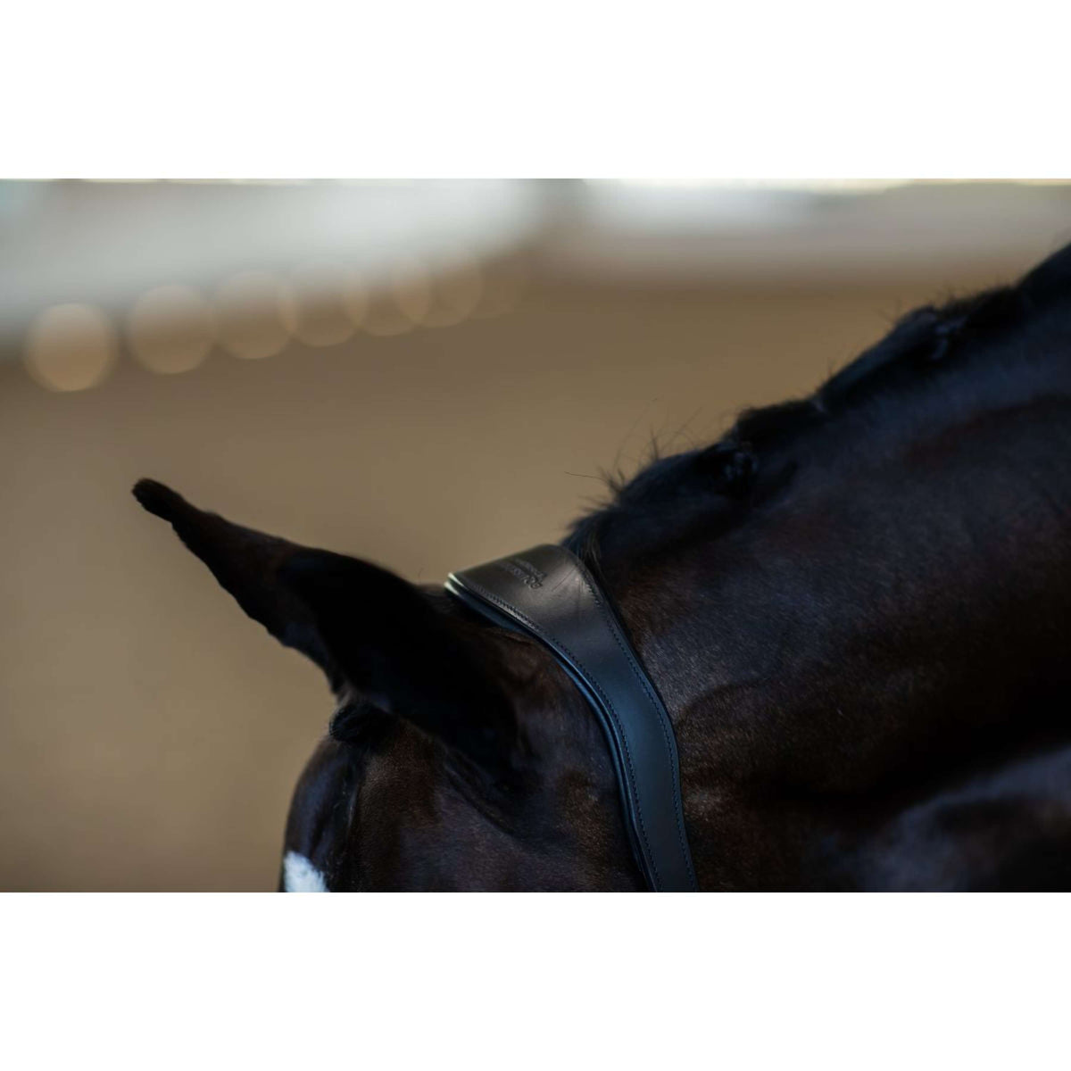 Equestrian Stockholm Capezzina Glimmer Anatomic Leather Nero