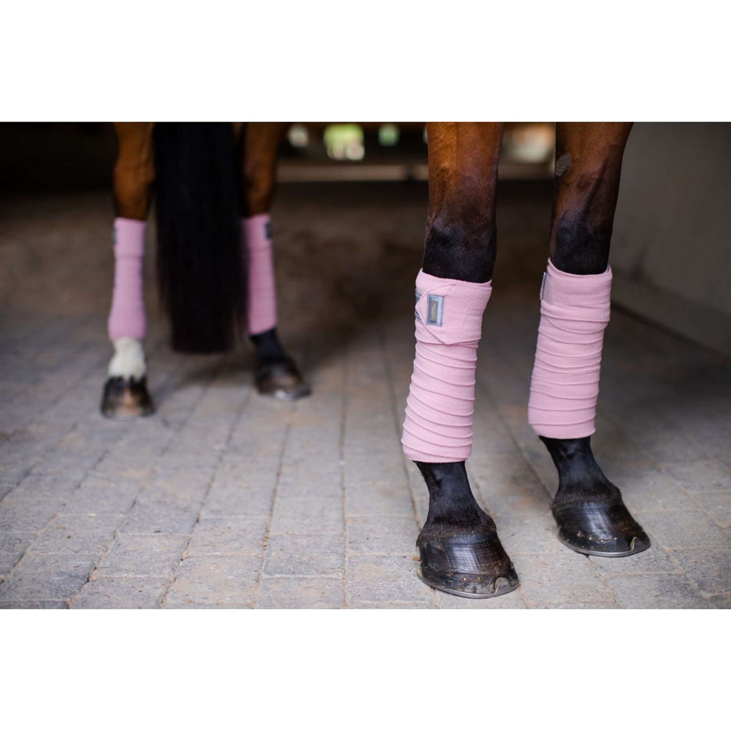Equestrian Stockholm Bende Rosa