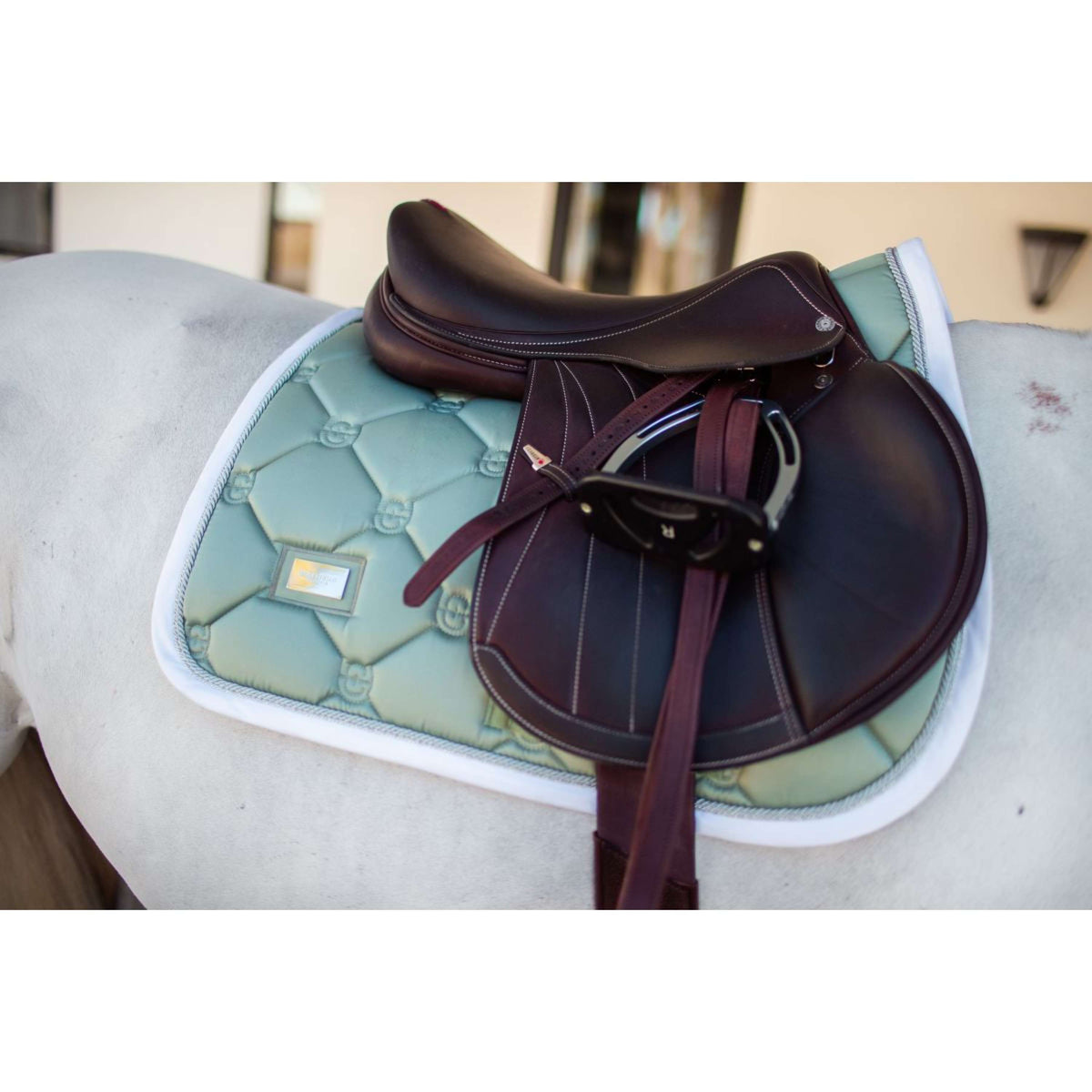Equestrian Stockholm Sottosella saltando Pistachio White