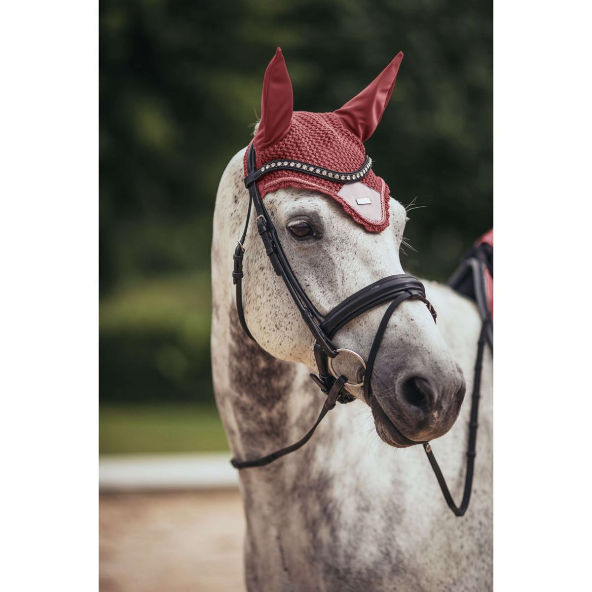 Equestrian Stockholm Cuffietta Amber Rose