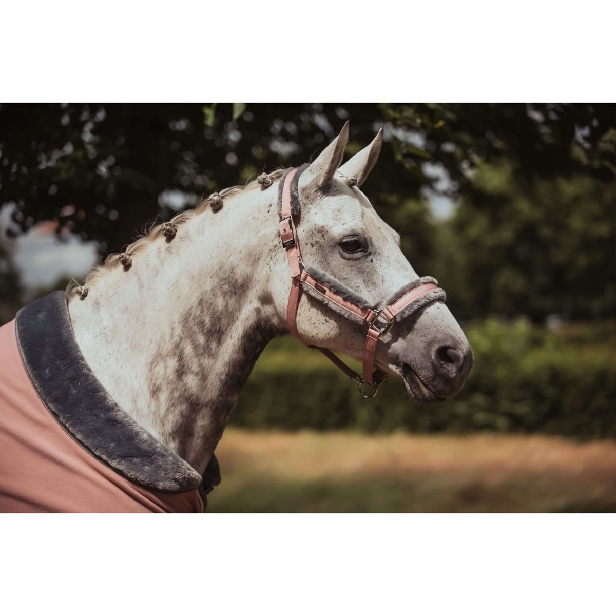 Equestrian Stockholm Coperta in Pile Fur Rosa