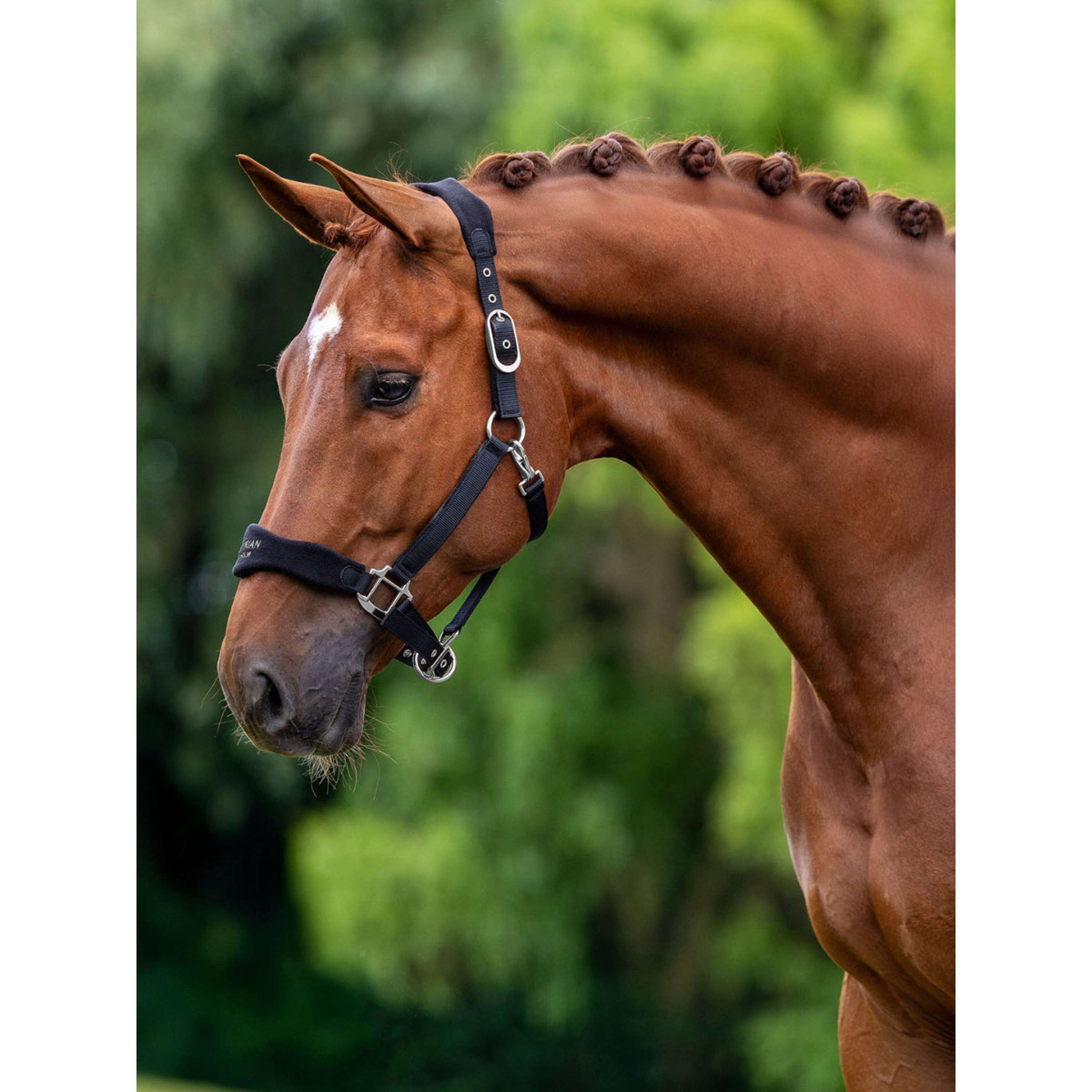 Equestrian Stockholm Cavezza Anatomic Fleece Nero