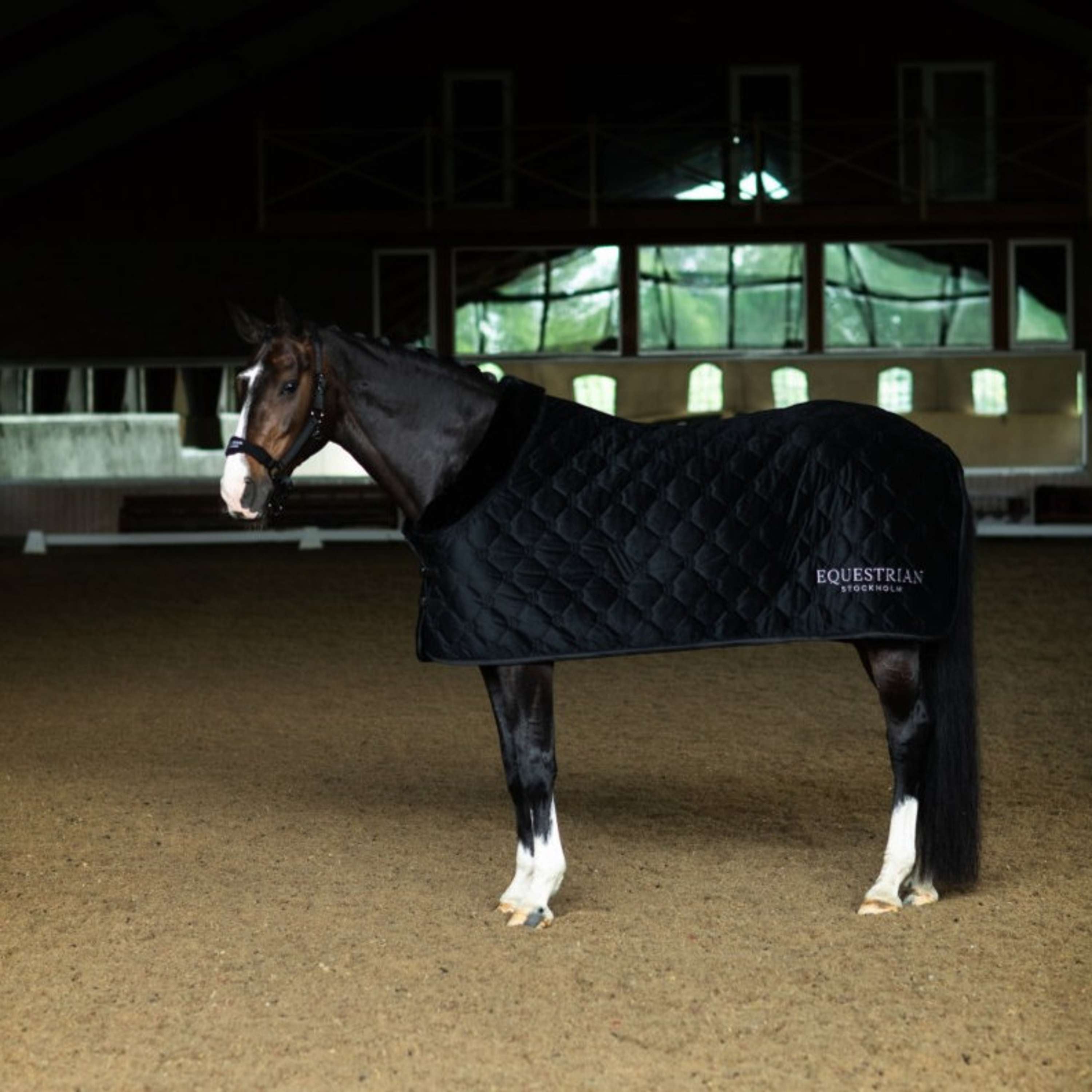 Equestrian Stockholm Coperta in Pile Velvet Nero