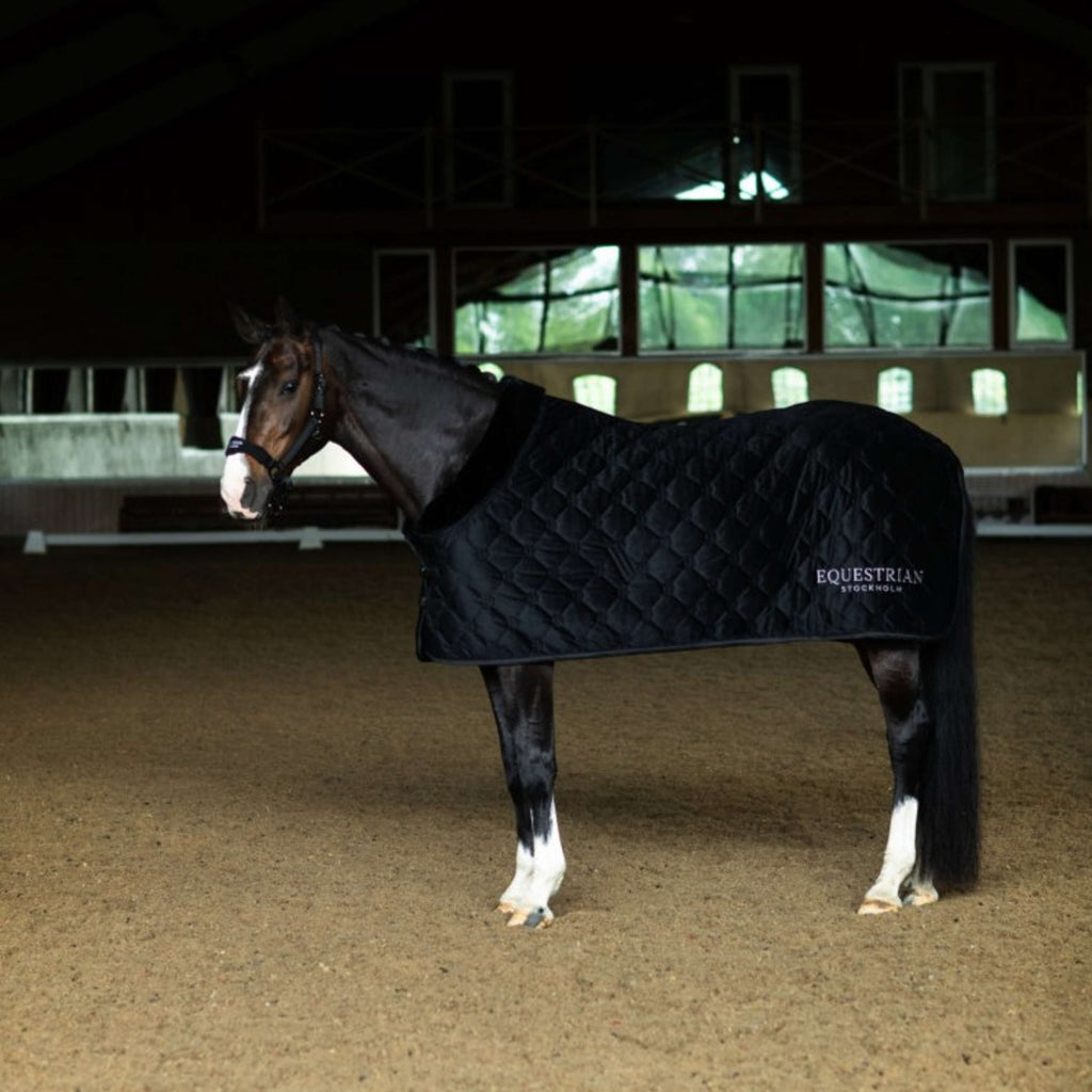 Equestrian Stockholm Coperta in Pile Velvet Nero
