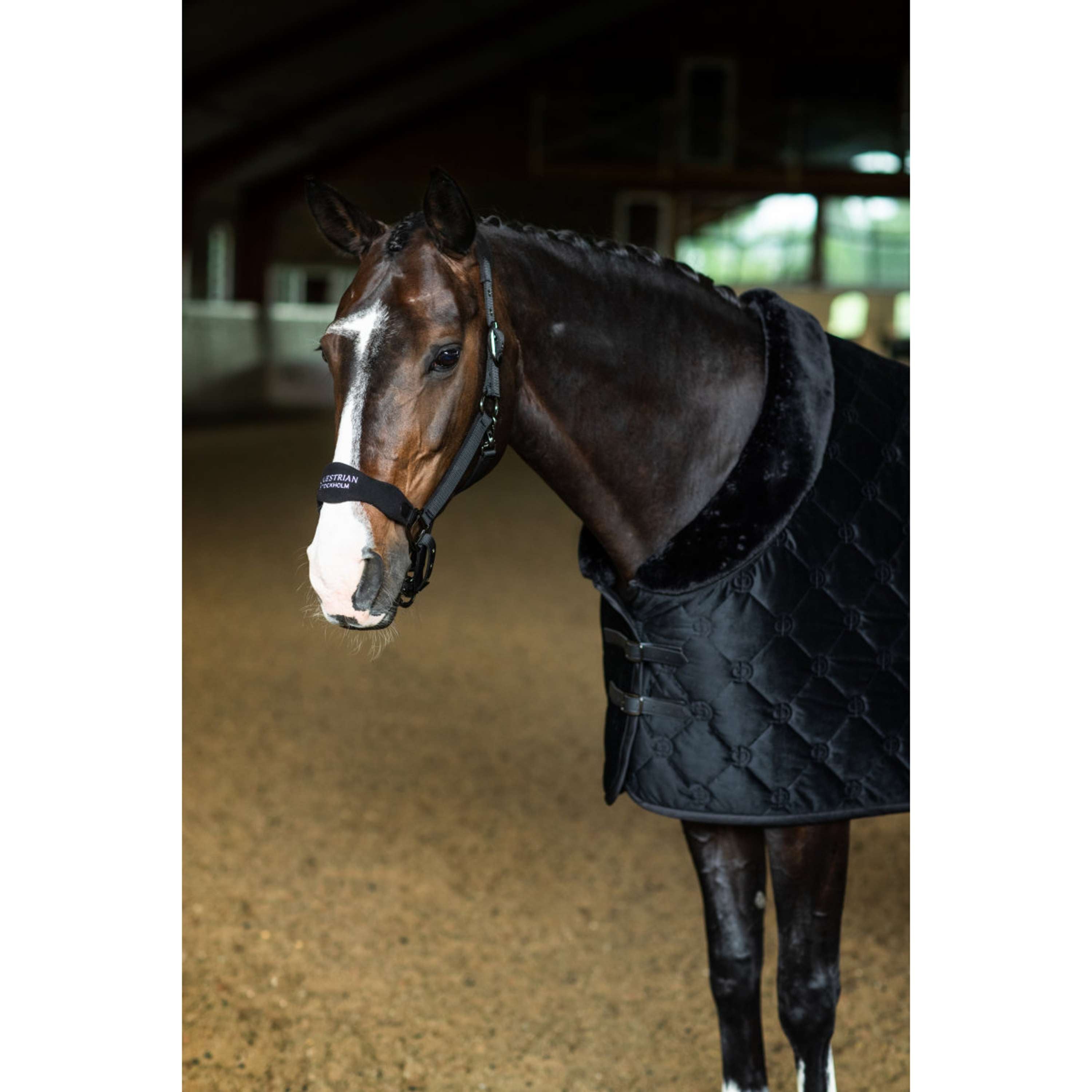 Equestrian Stockholm Coperta in Pile Velvet Nero
