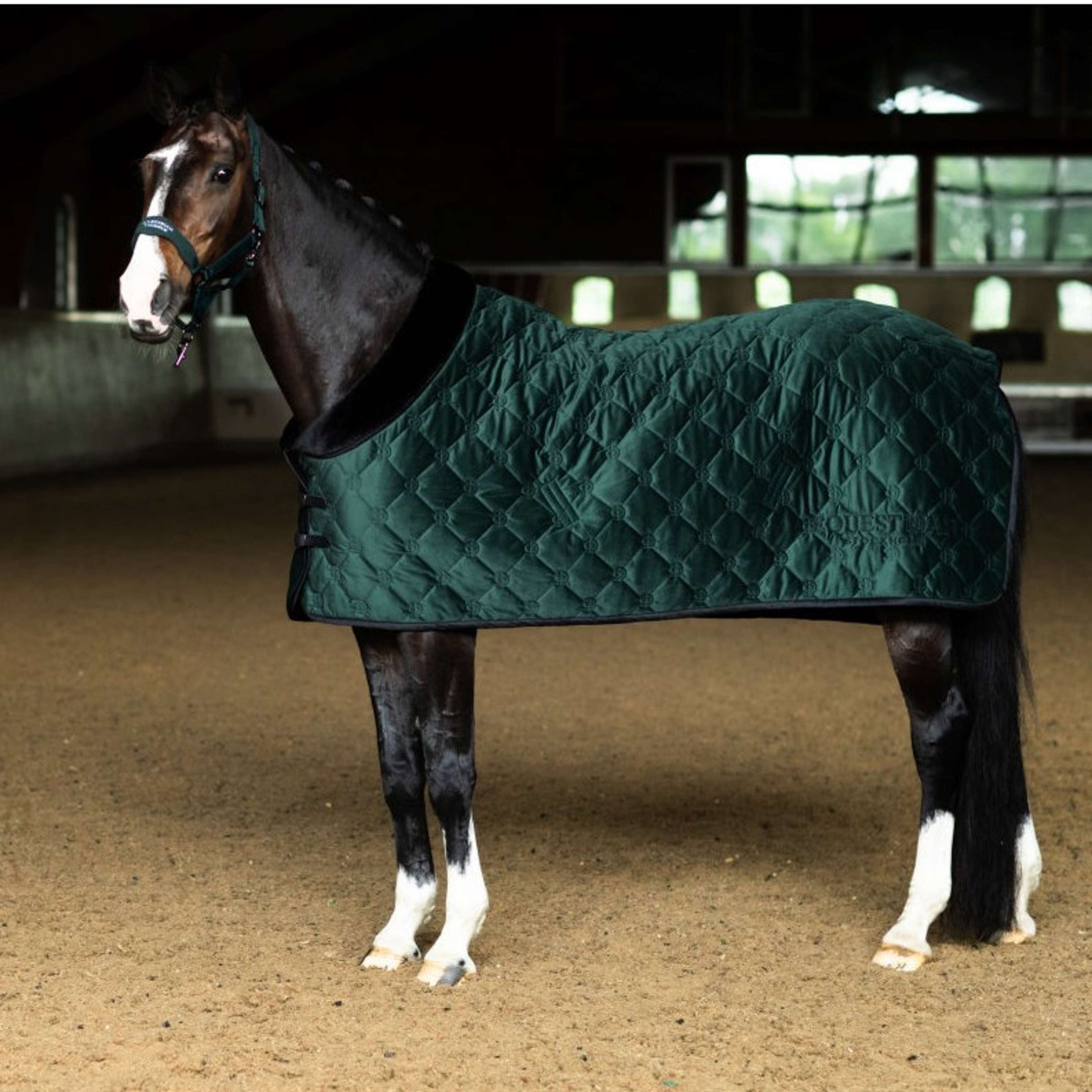 Equestrian Stockholm Coperta in Pile Velvet Sycamore Green