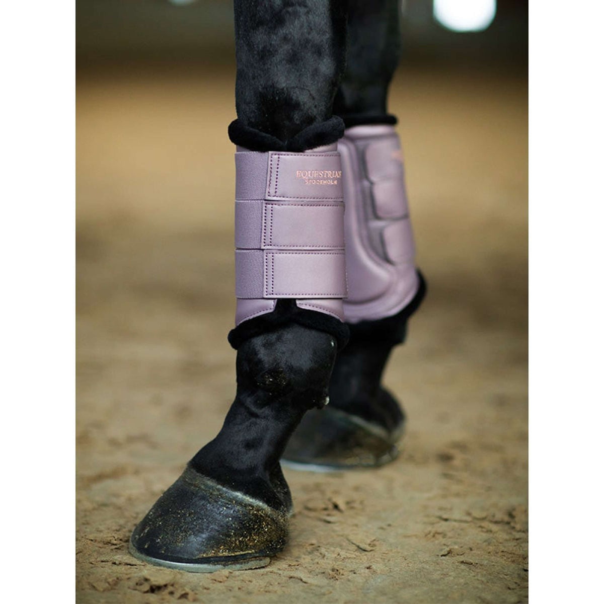 Equestrian Stockholm Parastinchi Anemone
