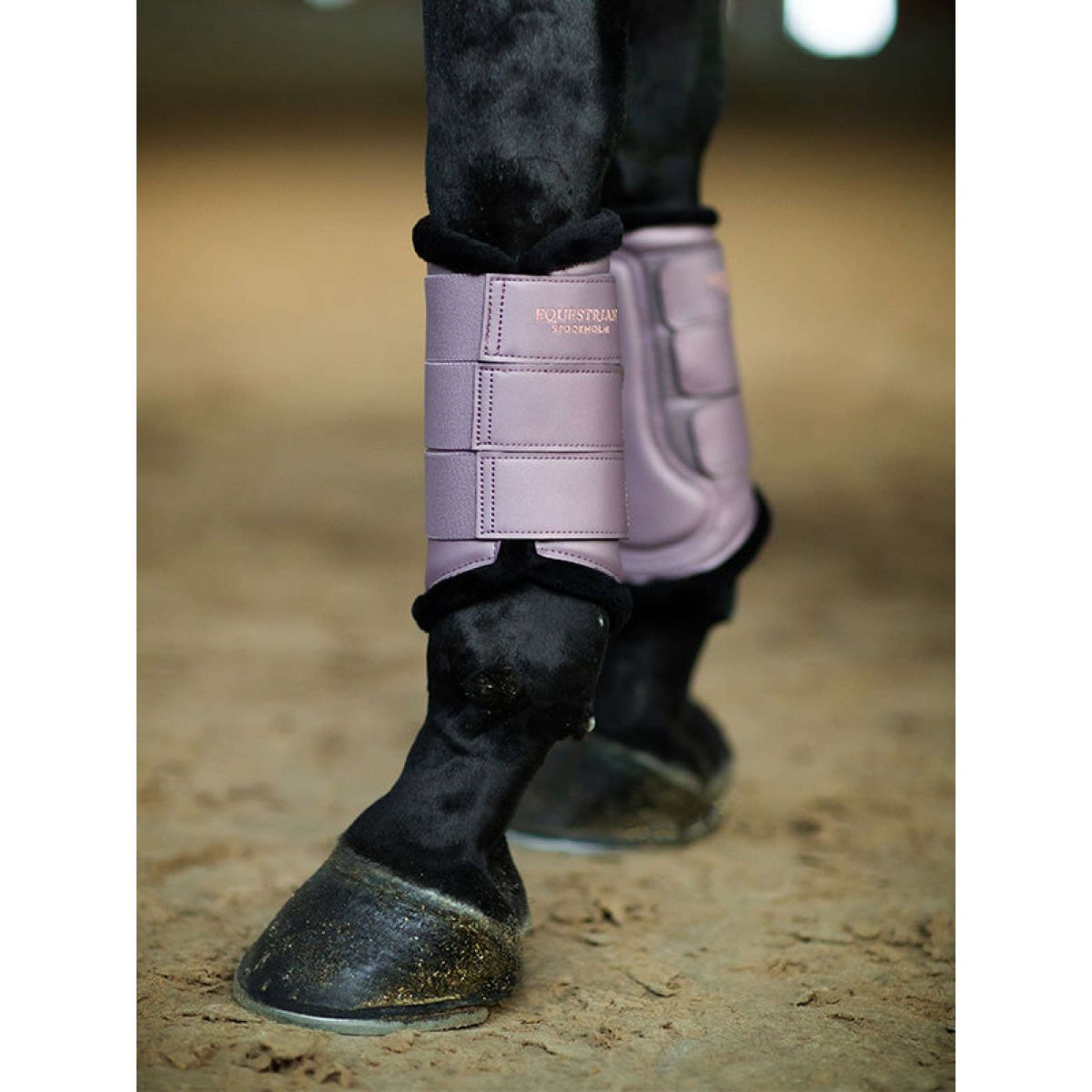 Equestrian Stockholm Parastinchi Anemone