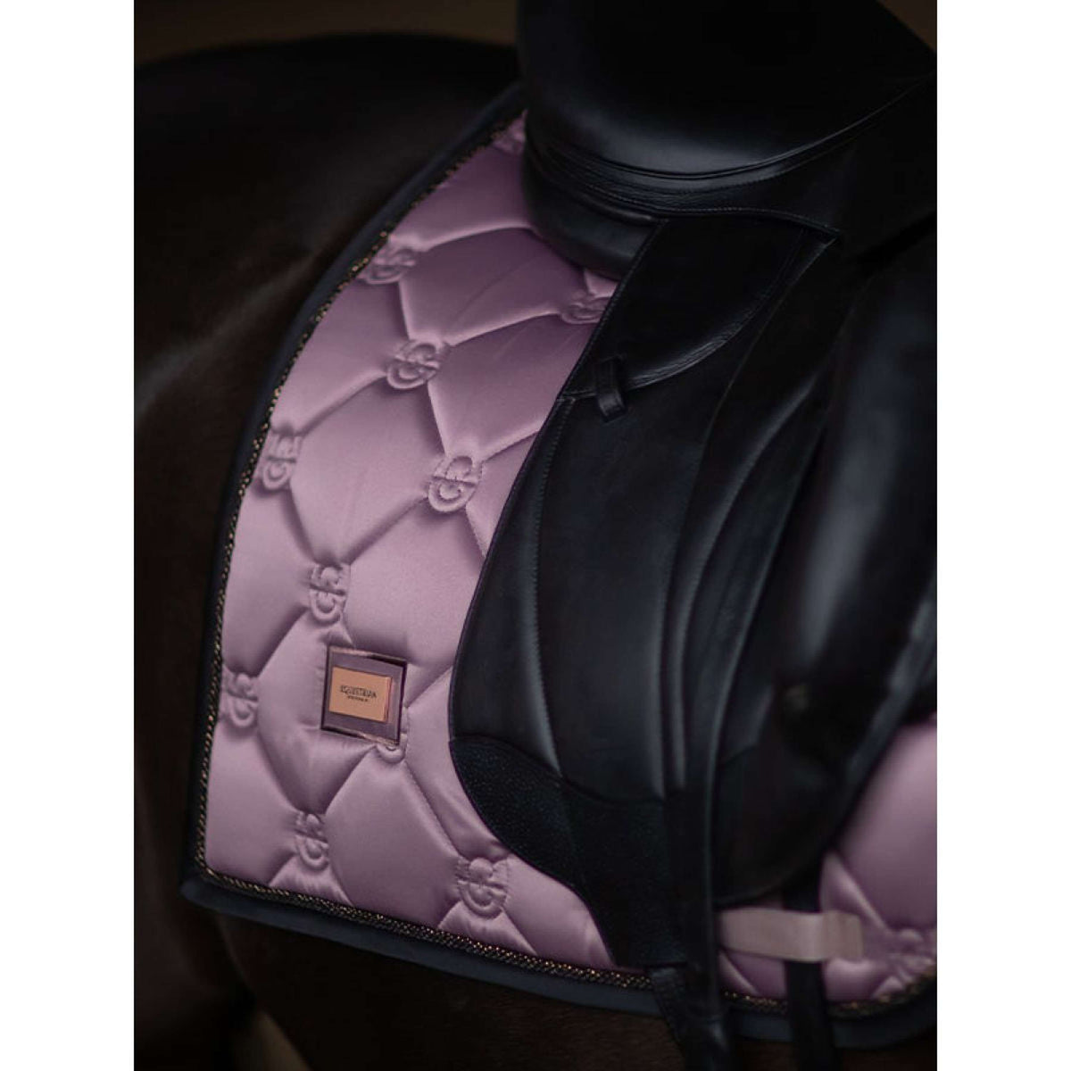 Equestrian Stockholm Sottosella Dressage Anemone