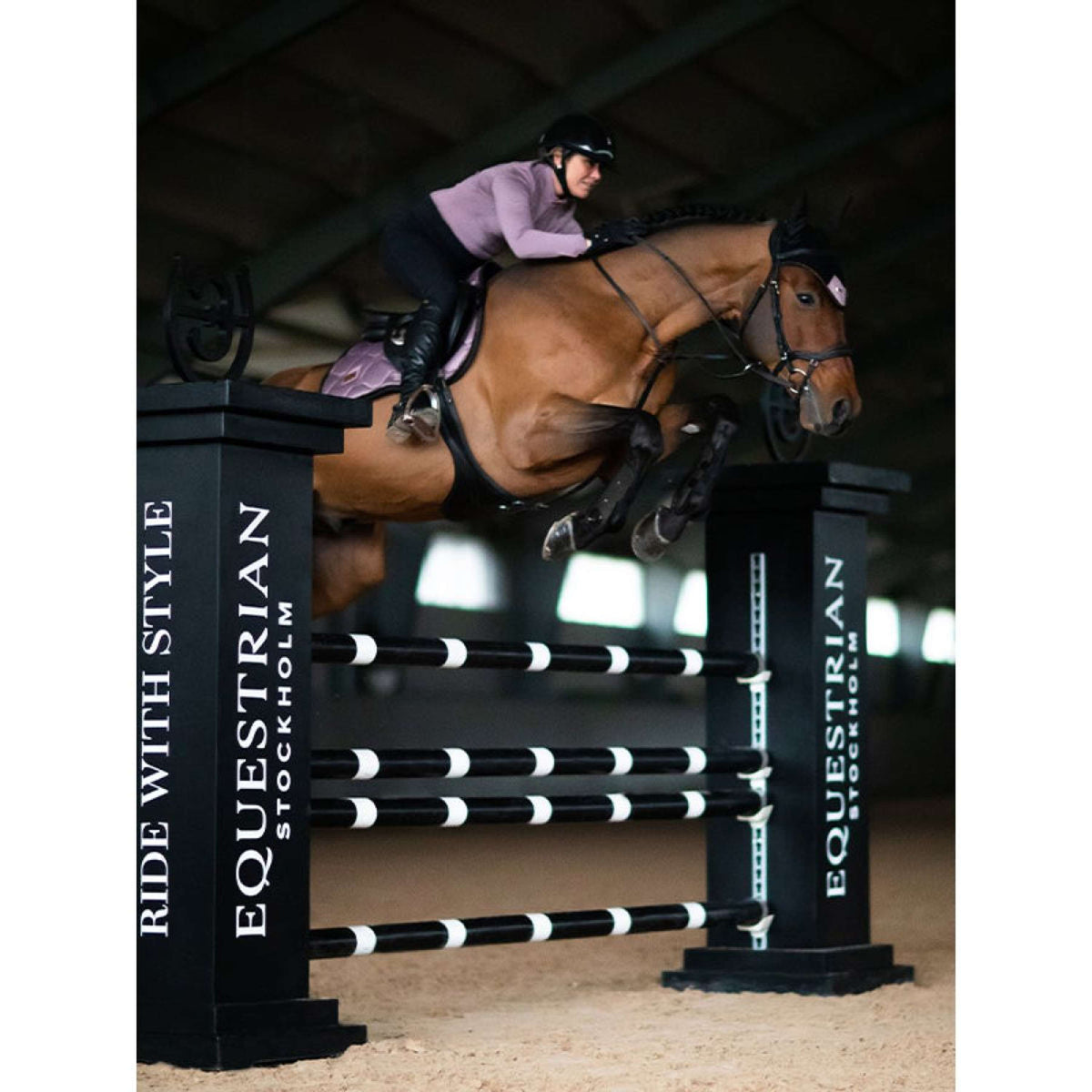 Equestrian Stockholm Sottosella saltando Anemone