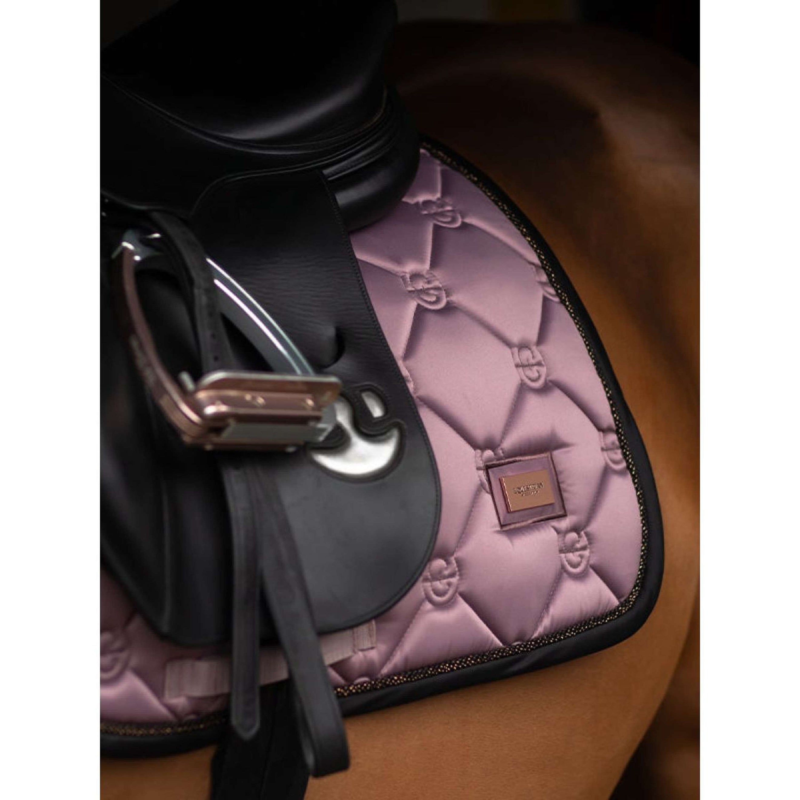 Equestrian Stockholm Sottosella saltando Anemone Equestrian Stockholm Sottosella saltando Anemone