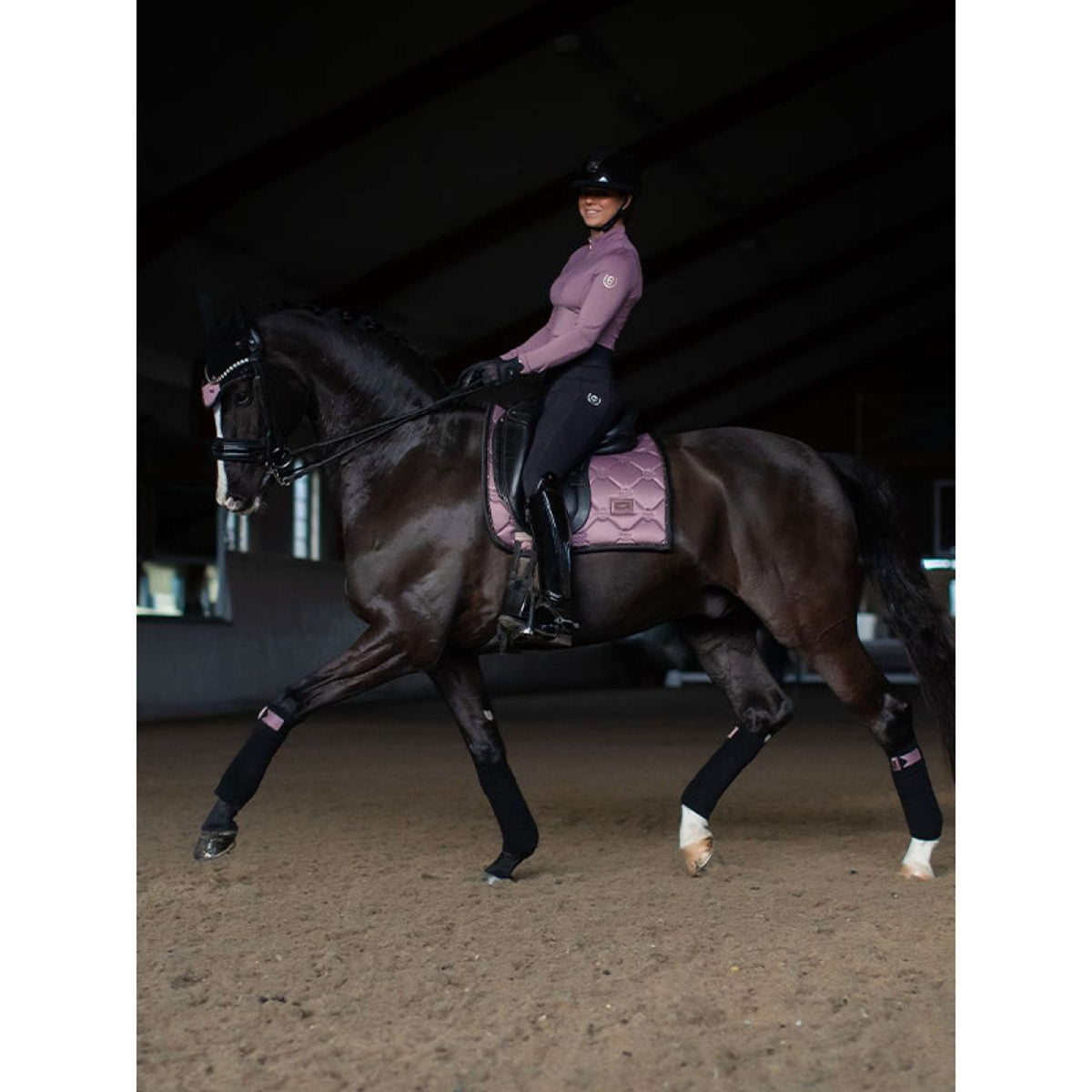 Equestrian Stockholm Parastinchi Anemone