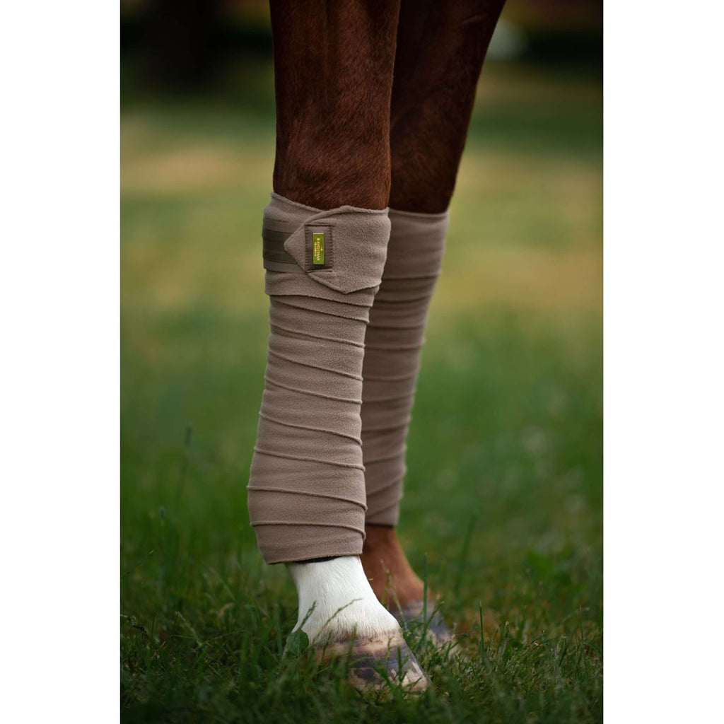 Equestrian Stockholm Bende Champagne
