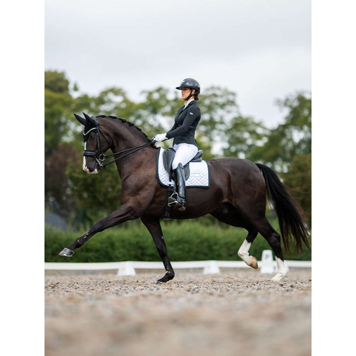 Equestrian Stockholm Sottosella Modern Dressage Bianco/Nero