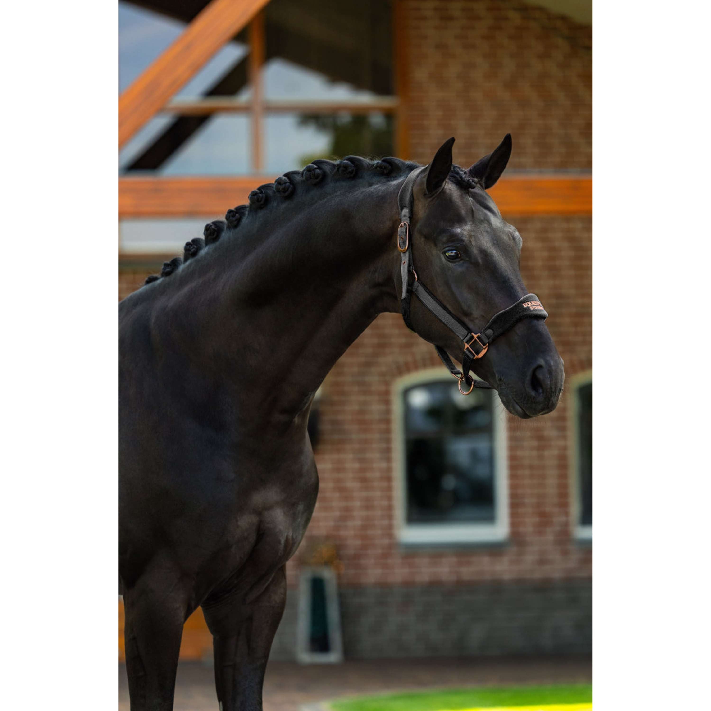 Equestrian Stockholm Cavezza Anatomic Fleece Nero/Blush