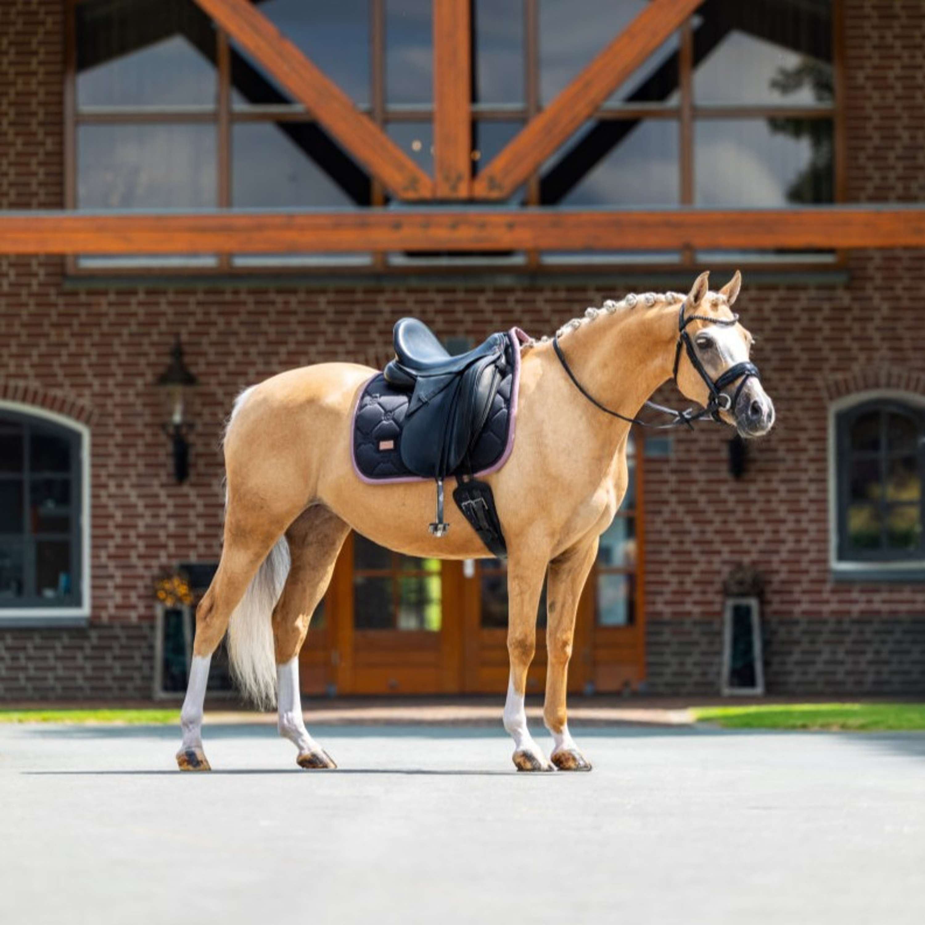 Equestrian Stockholm Sottosella Dressage Nero/Blush
