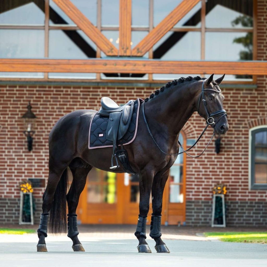 Equestrian Stockholm Sottosella Dressage Nero/Blush