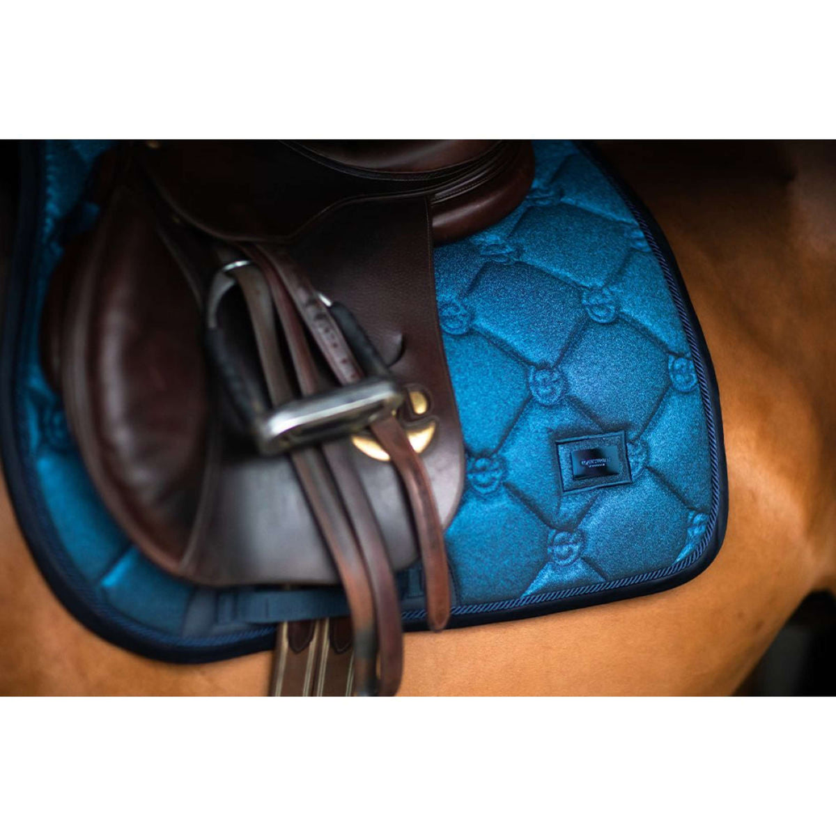 Equestrian Stockholm Sottosella saltando Blue Meadow Glimmer