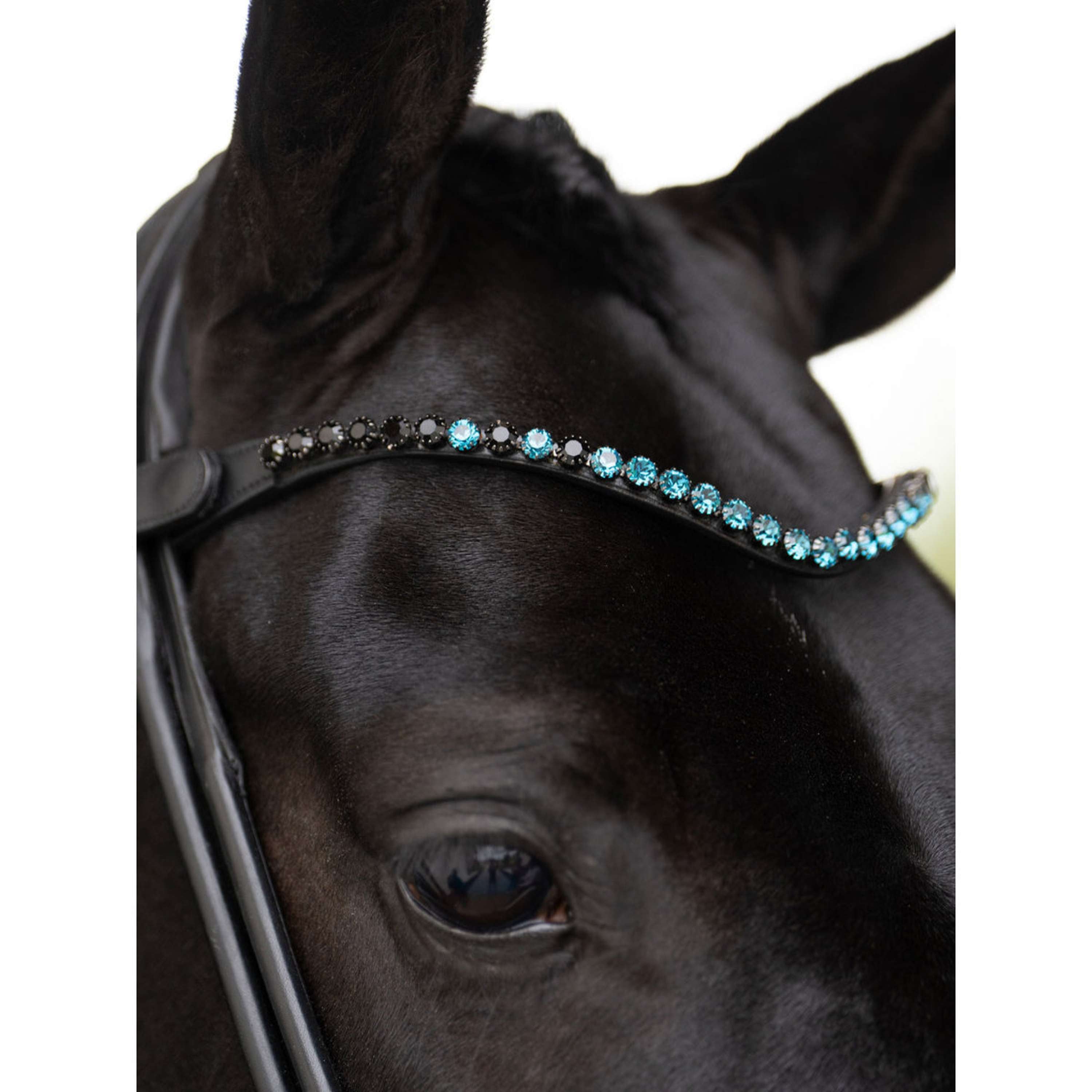 Equestrian Stockholm Frontalino Faded 8mm Blue Meadow