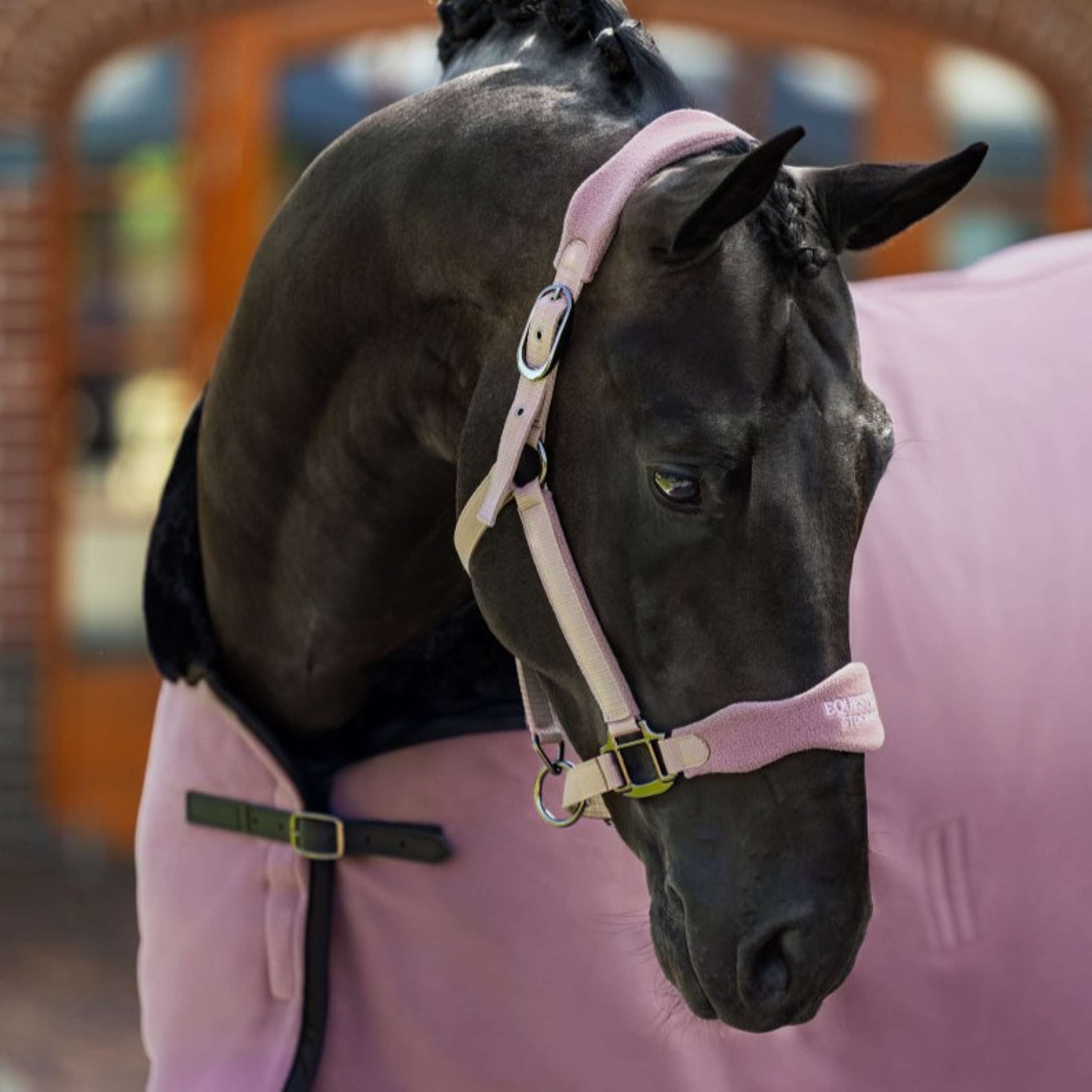 Equestrian Stockholm Cavezza Anatomic Fleece Blush
