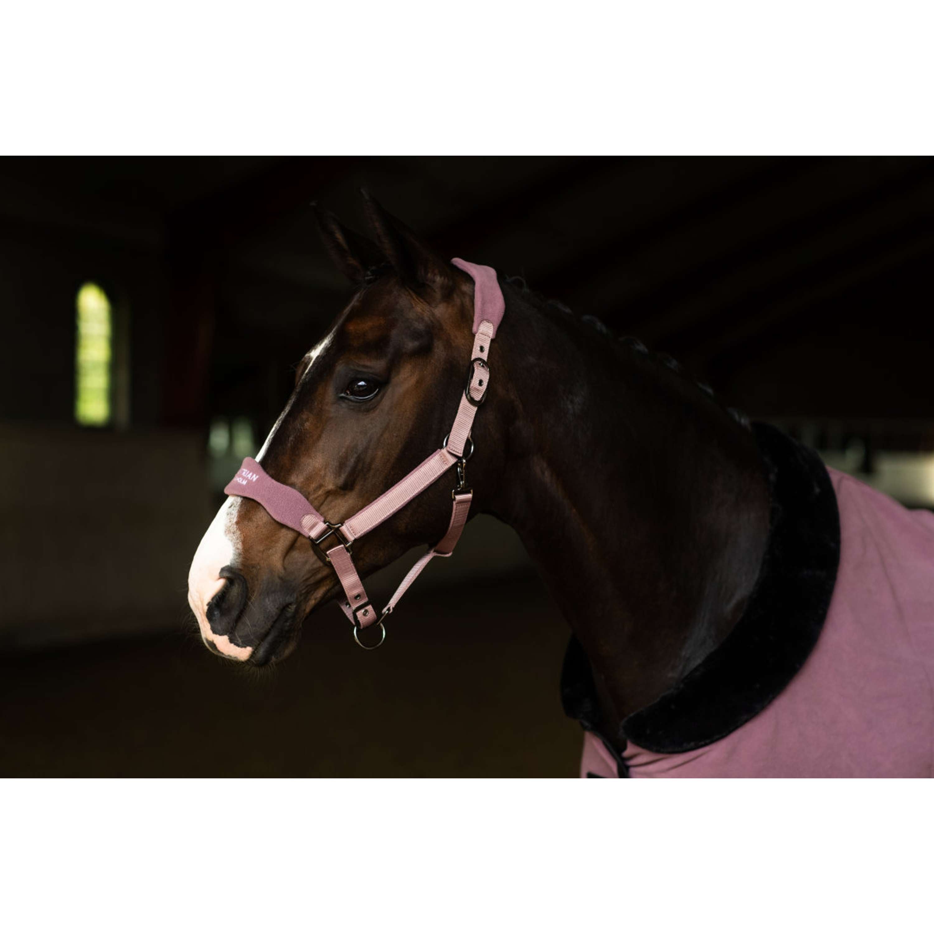 Equestrian Stockholm Cavezza Anatomic Fleece Blush