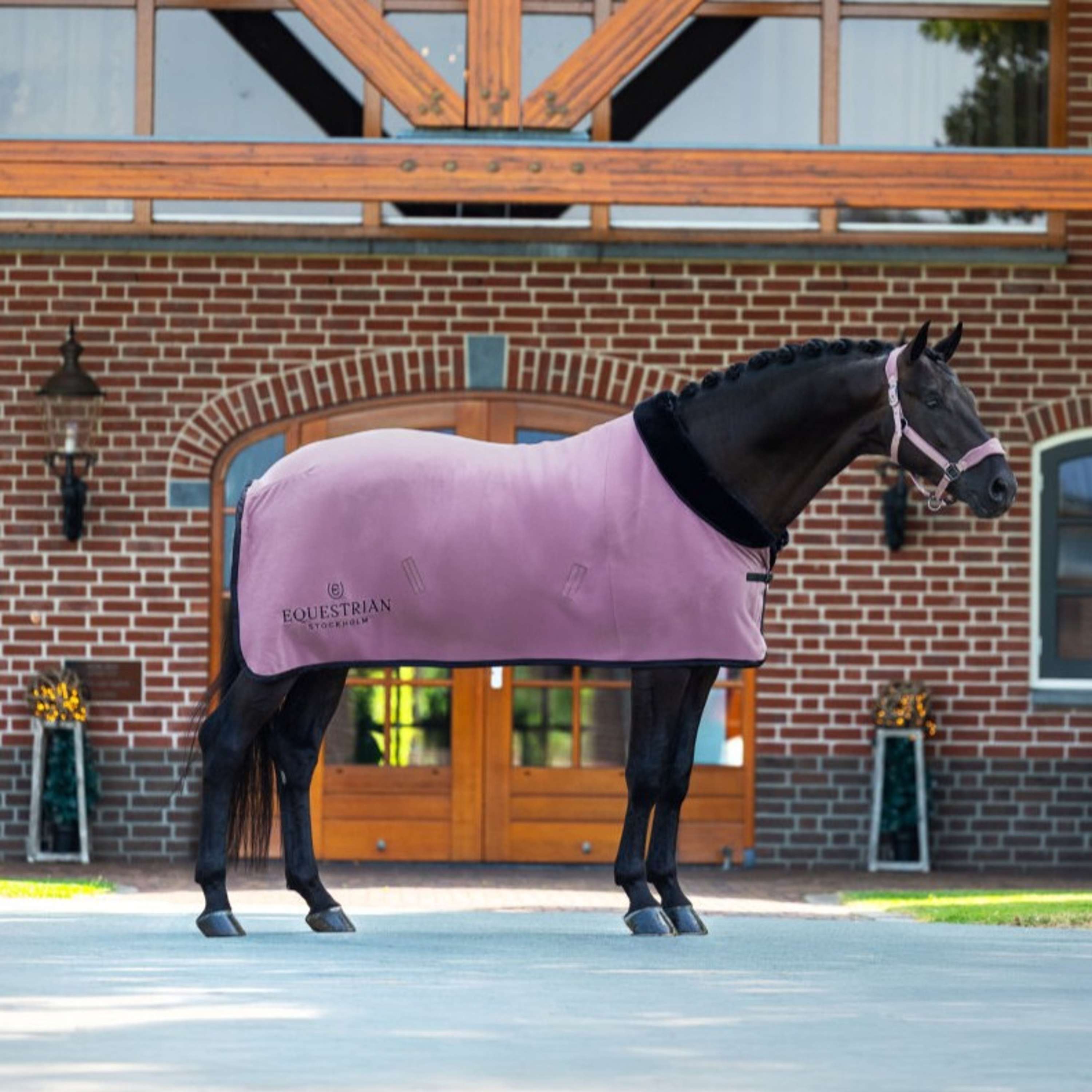 Equestrian Stockholm Coperta in Pile Blush