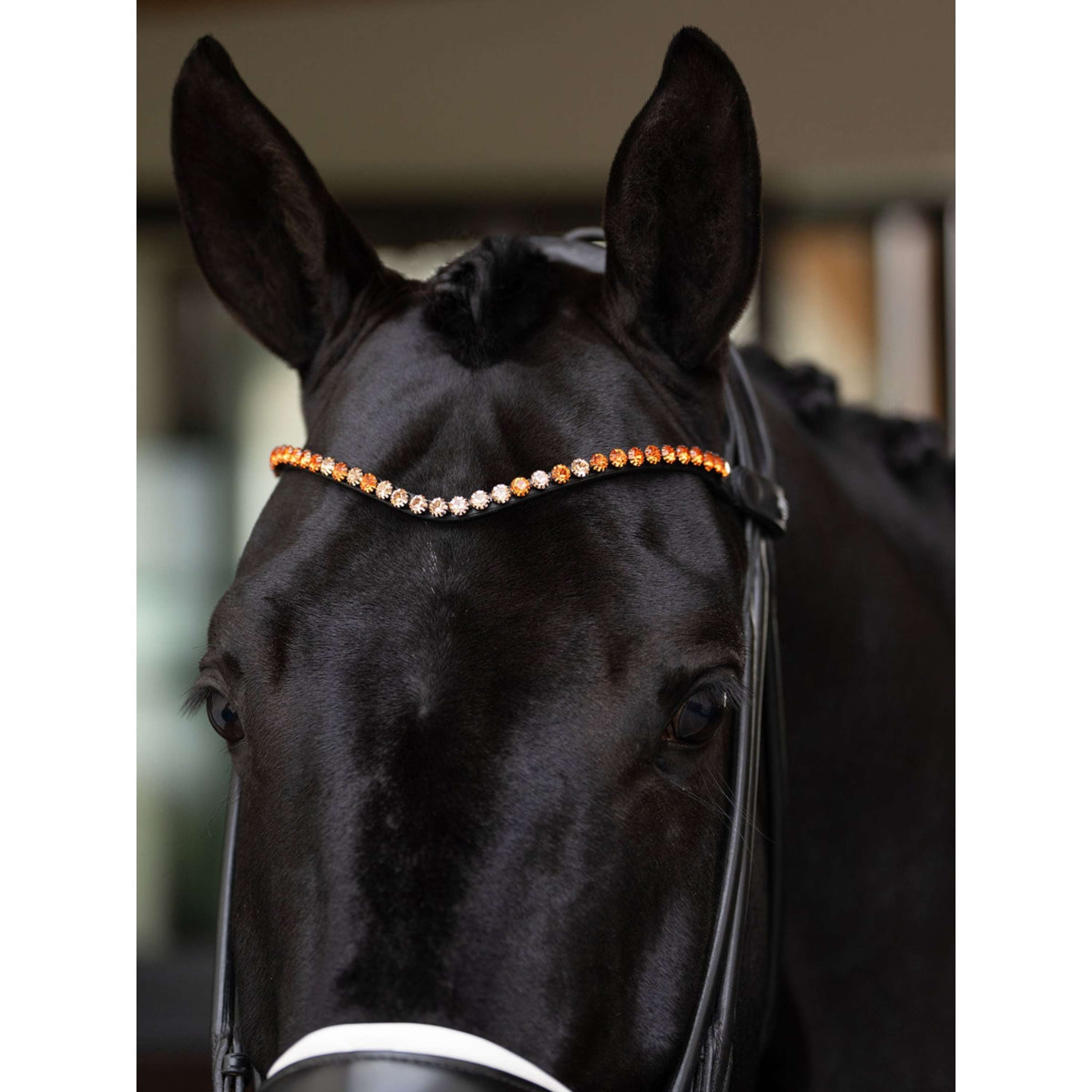 Equestrian Stockholm Frontalino Faded 8mm Chestnut