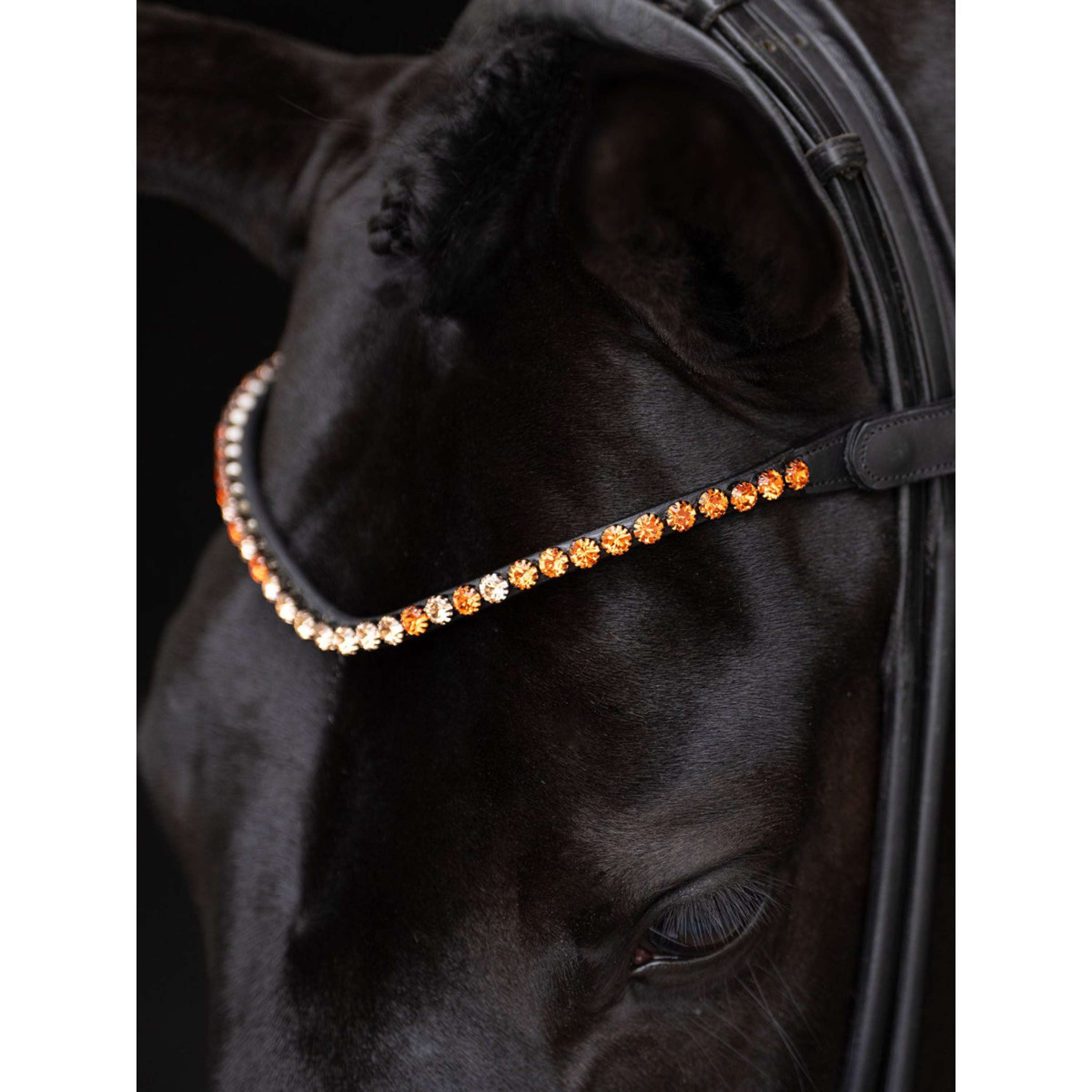Equestrian Stockholm Frontalino Faded 8mm Chestnut