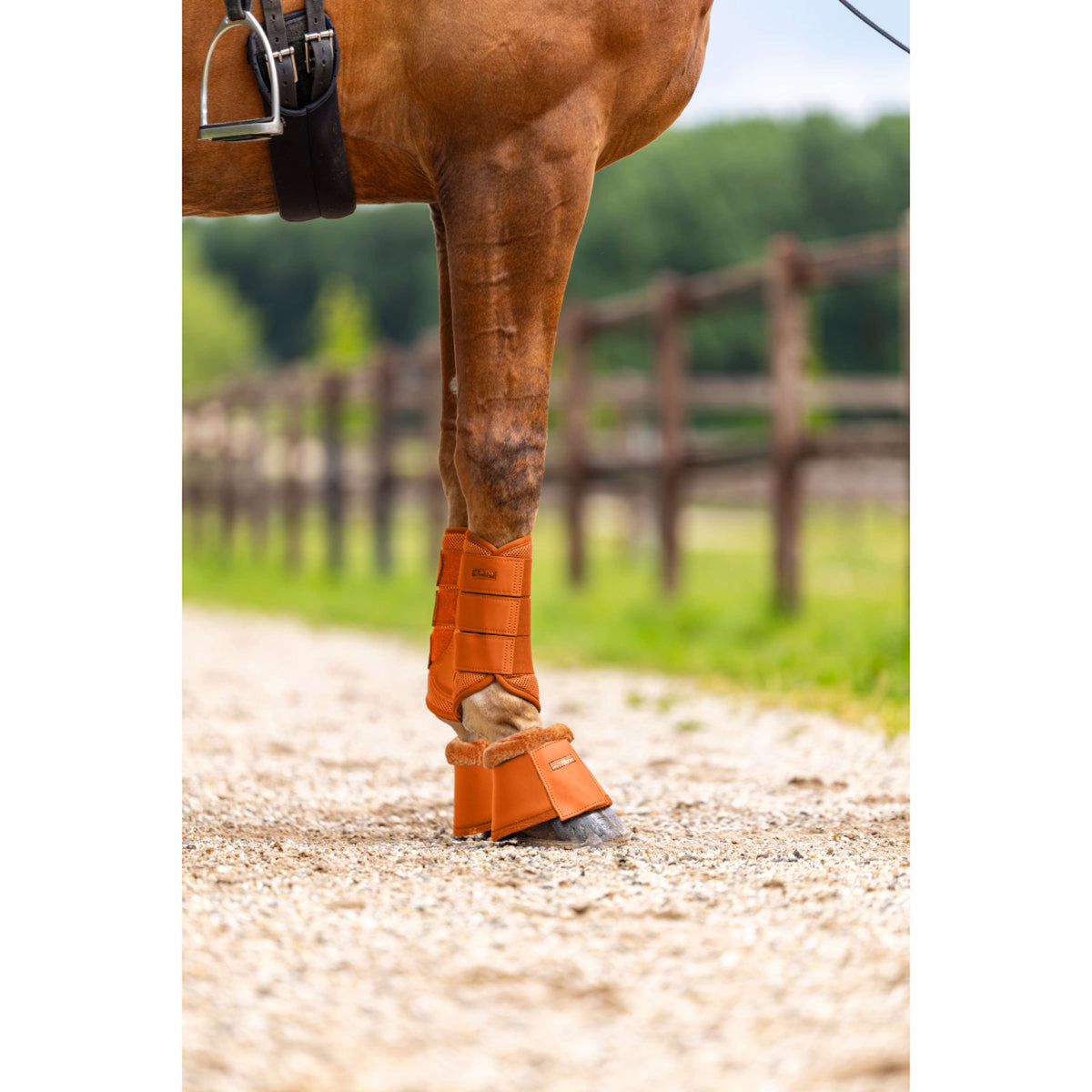 Equestrian Stockholm Parastinchi Mesh Chestnut