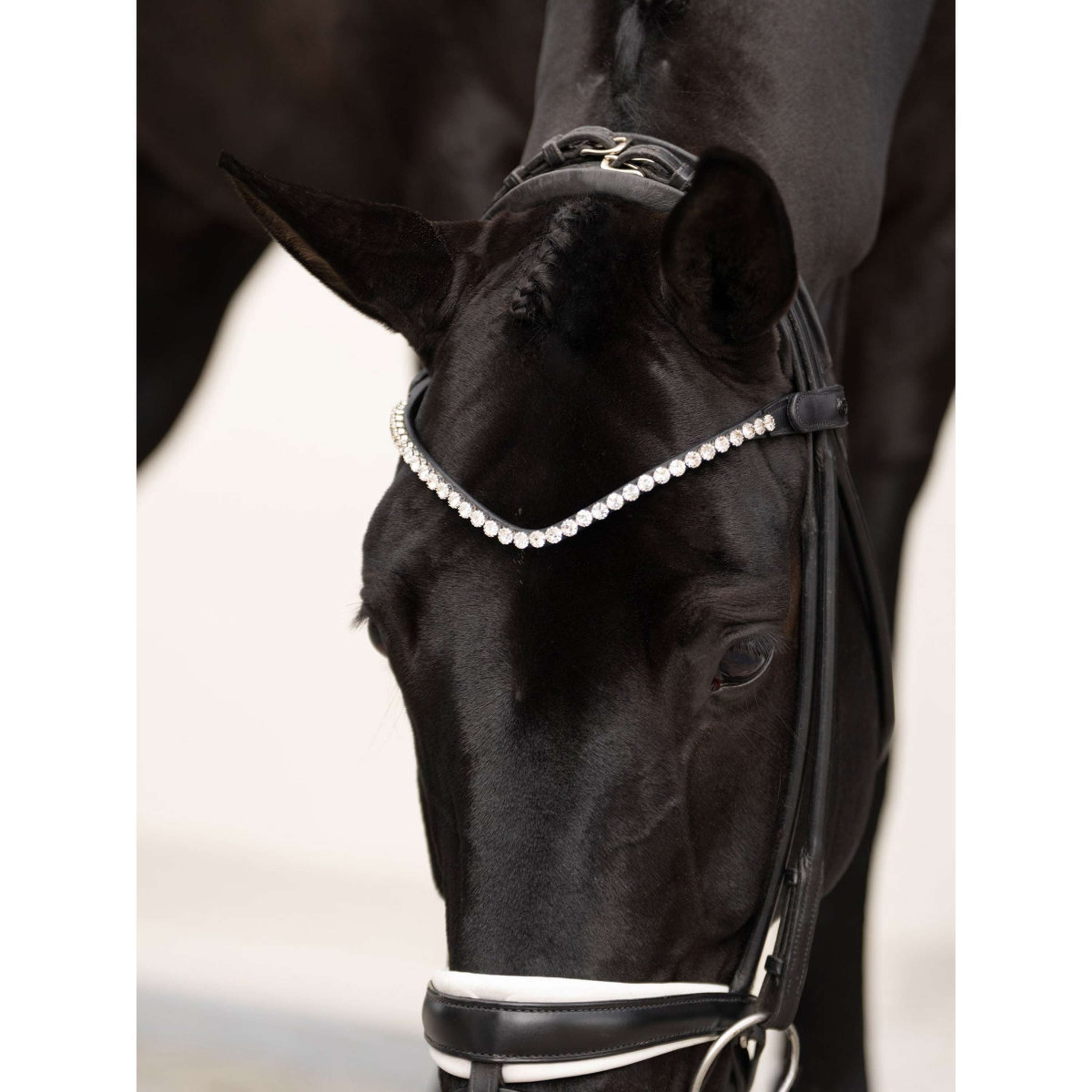 Equestrian Stockholm Frontalino Faded 8mm Crystal