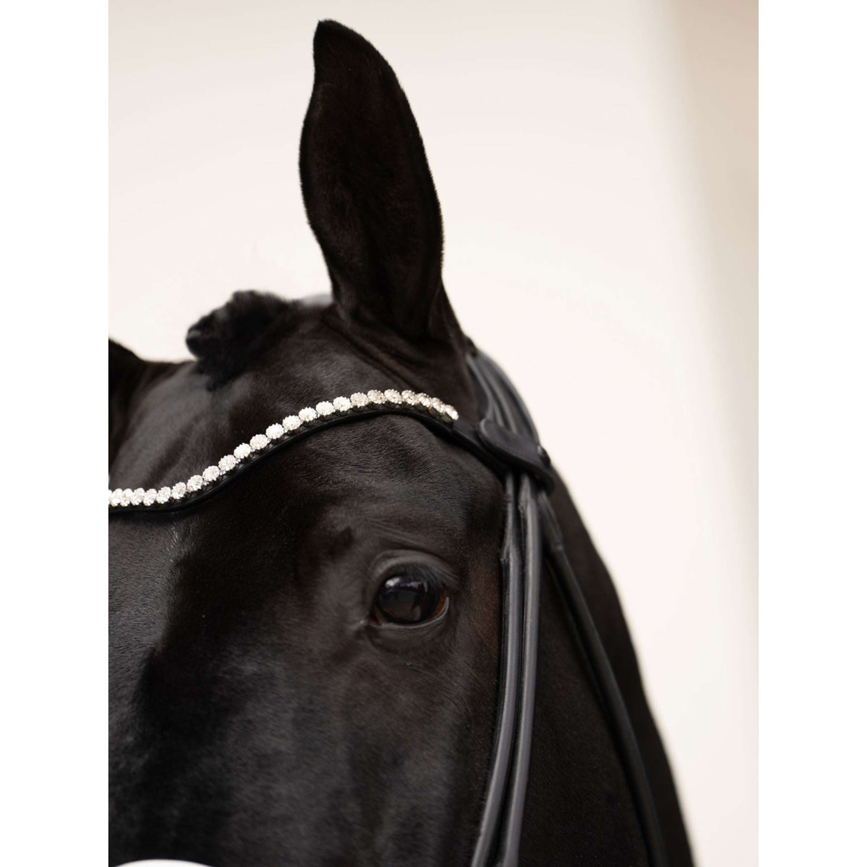 Equestrian Stockholm Frontalino Faded 8mm Crystal