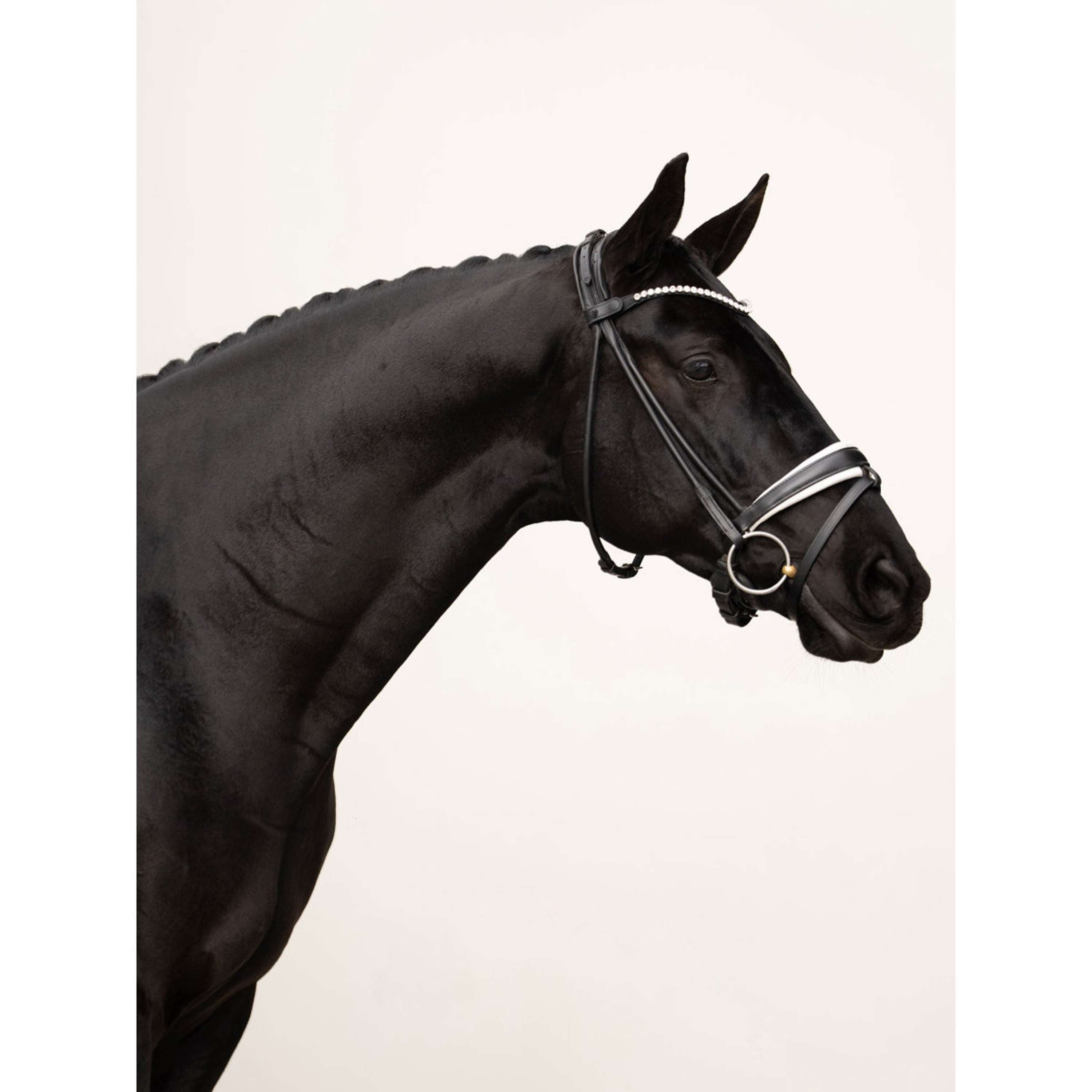 Equestrian Stockholm Frontalino Faded 8mm Crystal