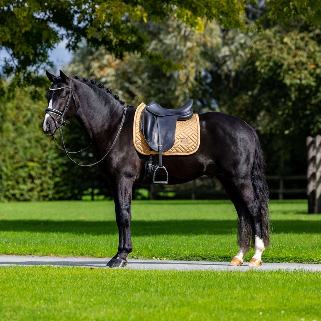 Equestrian Stockholm Sottosella Modern Dressage Midsummer Glow