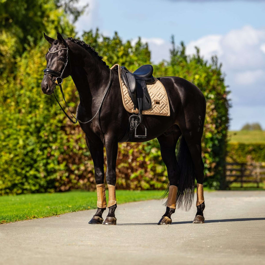 Equestrian Stockholm Sottosella Modern Dressage Midsummer Glow