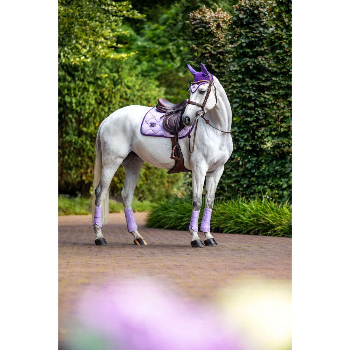 Equestrian Stockholm Cuffietta Lavanda