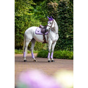 Equestrian Stockholm Cuffietta Lavanda