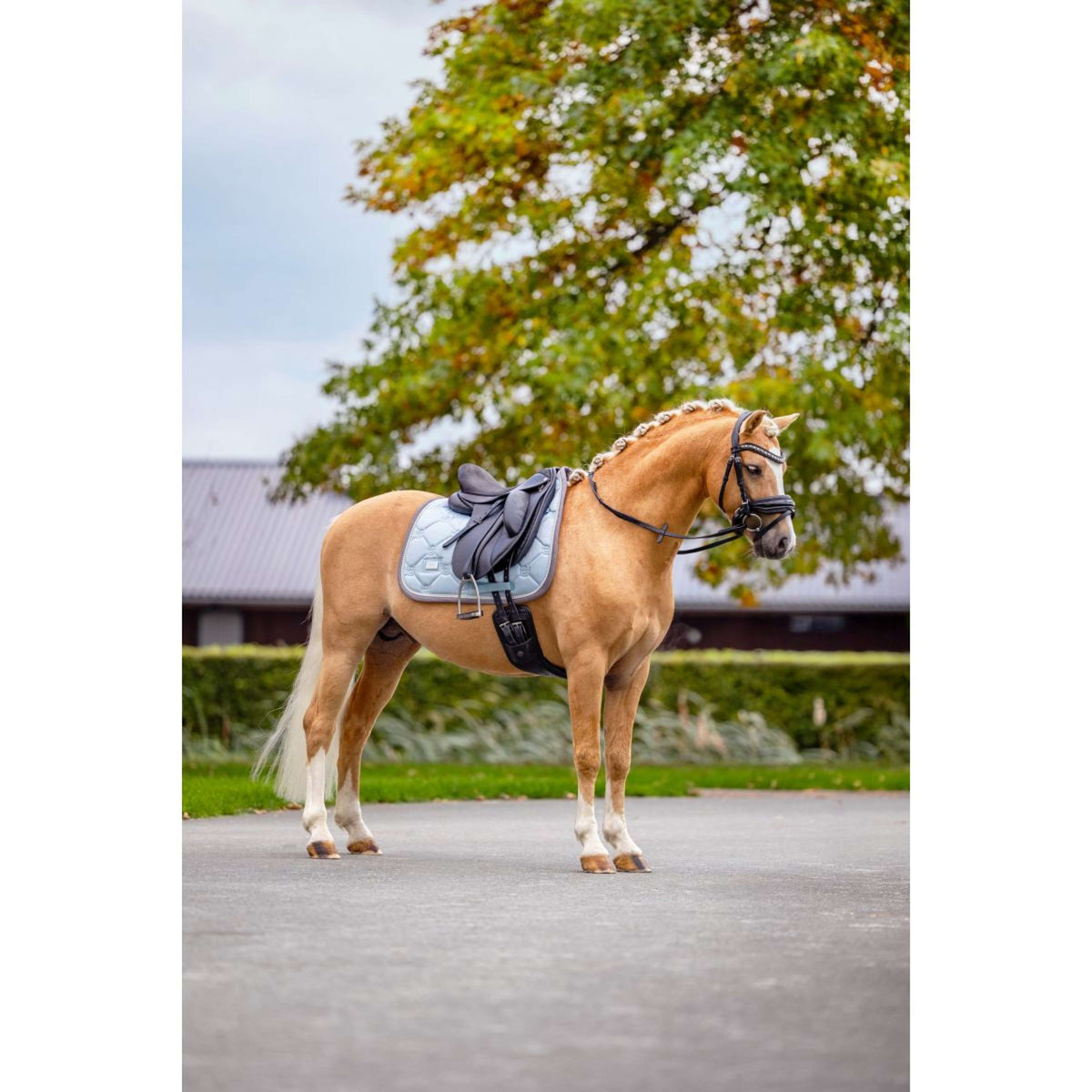 Equestrian Stockholm Sottosella Dressage Ice Blue