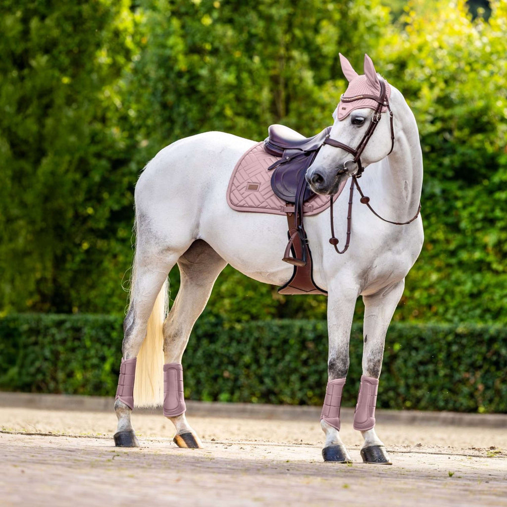 Equestrian Stockholm Parastinchi Classic Mesh Midsummer Blush