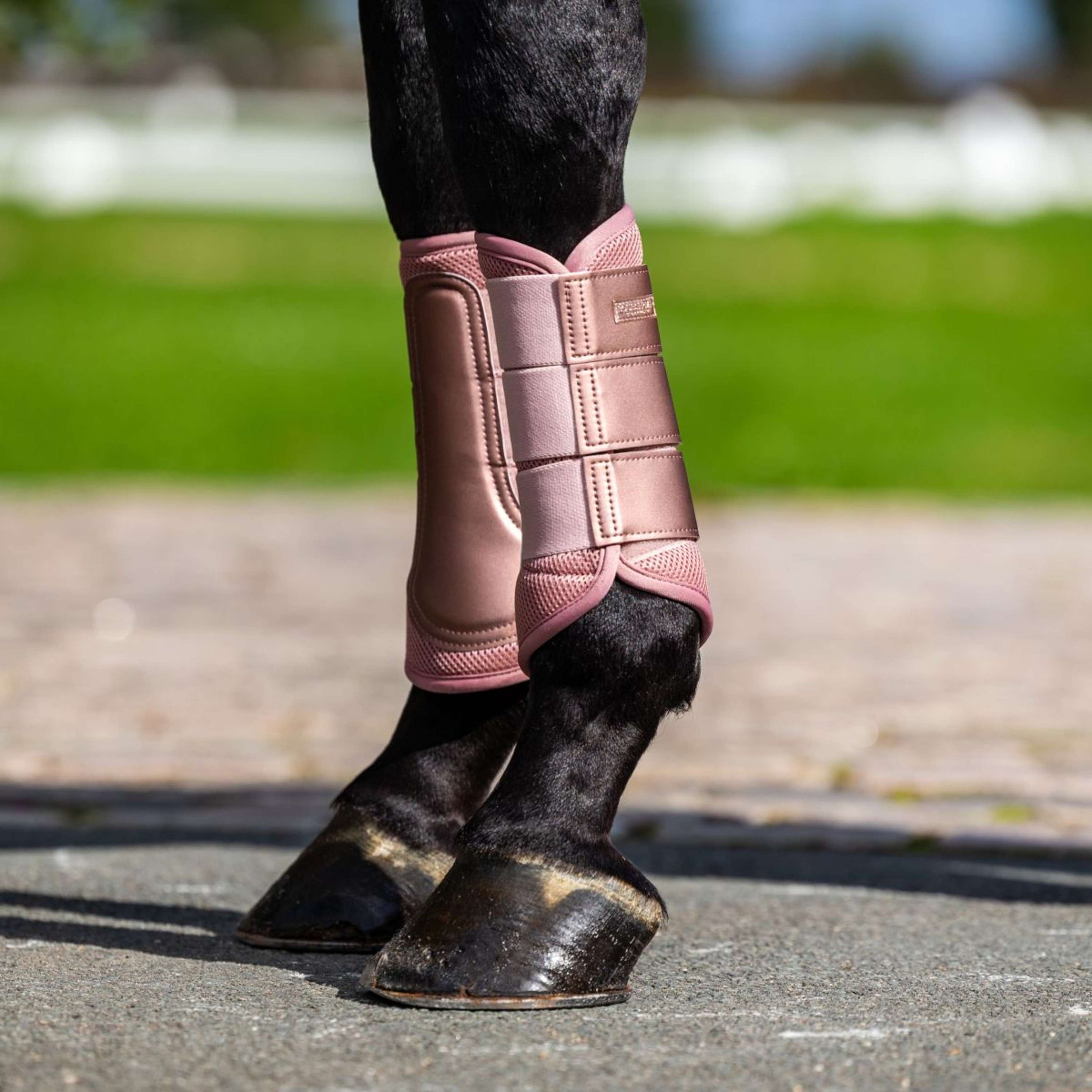 Equestrian Stockholm Parastinchi Classic Mesh Midsummer Blush Equestrian Stockholm Parastinchi Classic Mesh Midsummer Blush