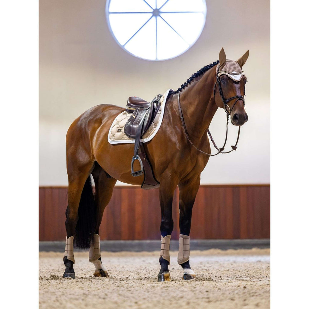 Equestrian Stockholm Sottosella saltando Sand