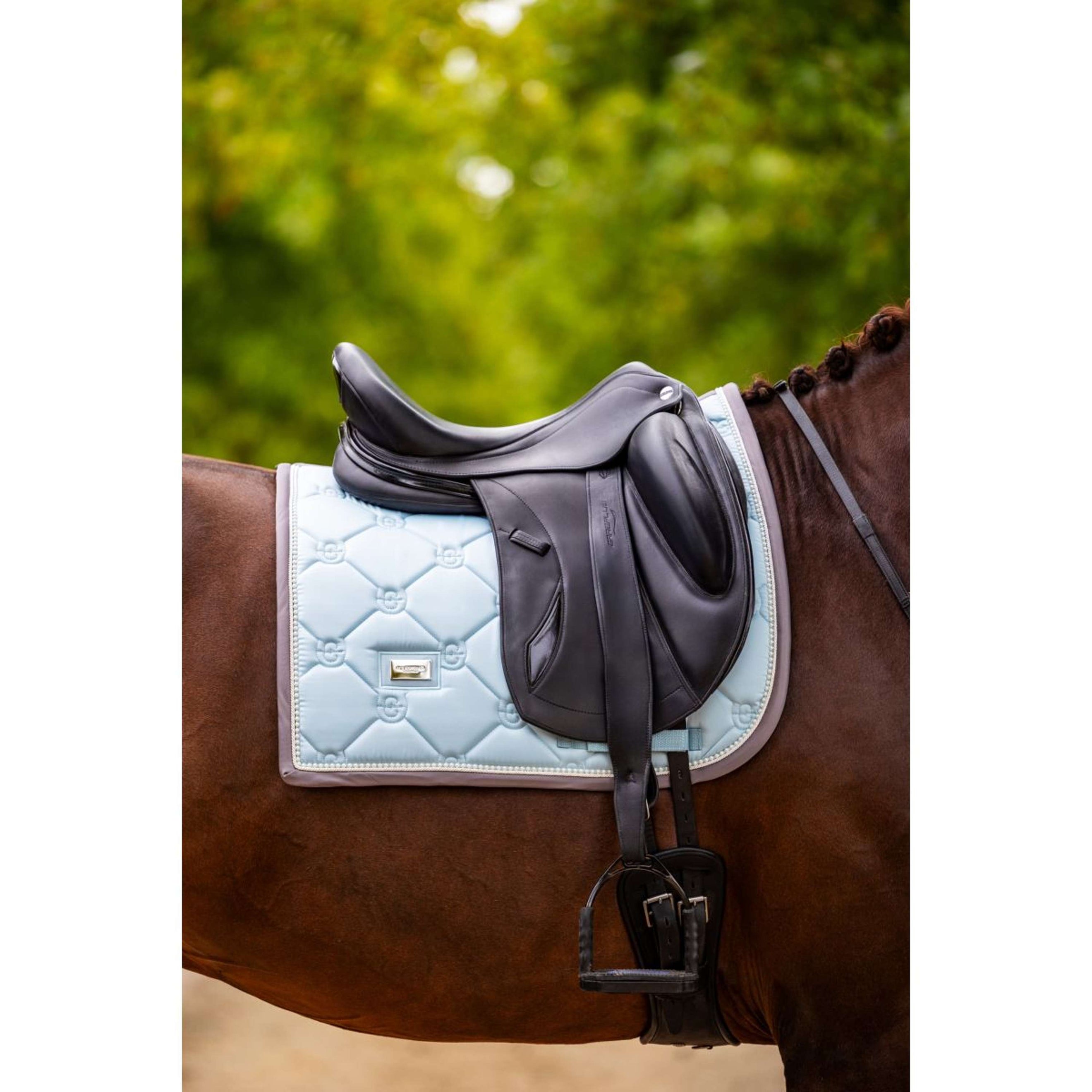 Equestrian Stockholm Sottosella Dressage Ice Blue