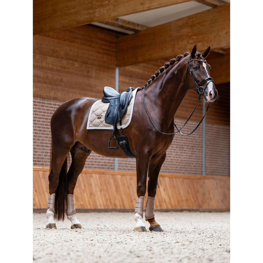 Equestrian Stockholm Parastinchi Classic Mesh Sand