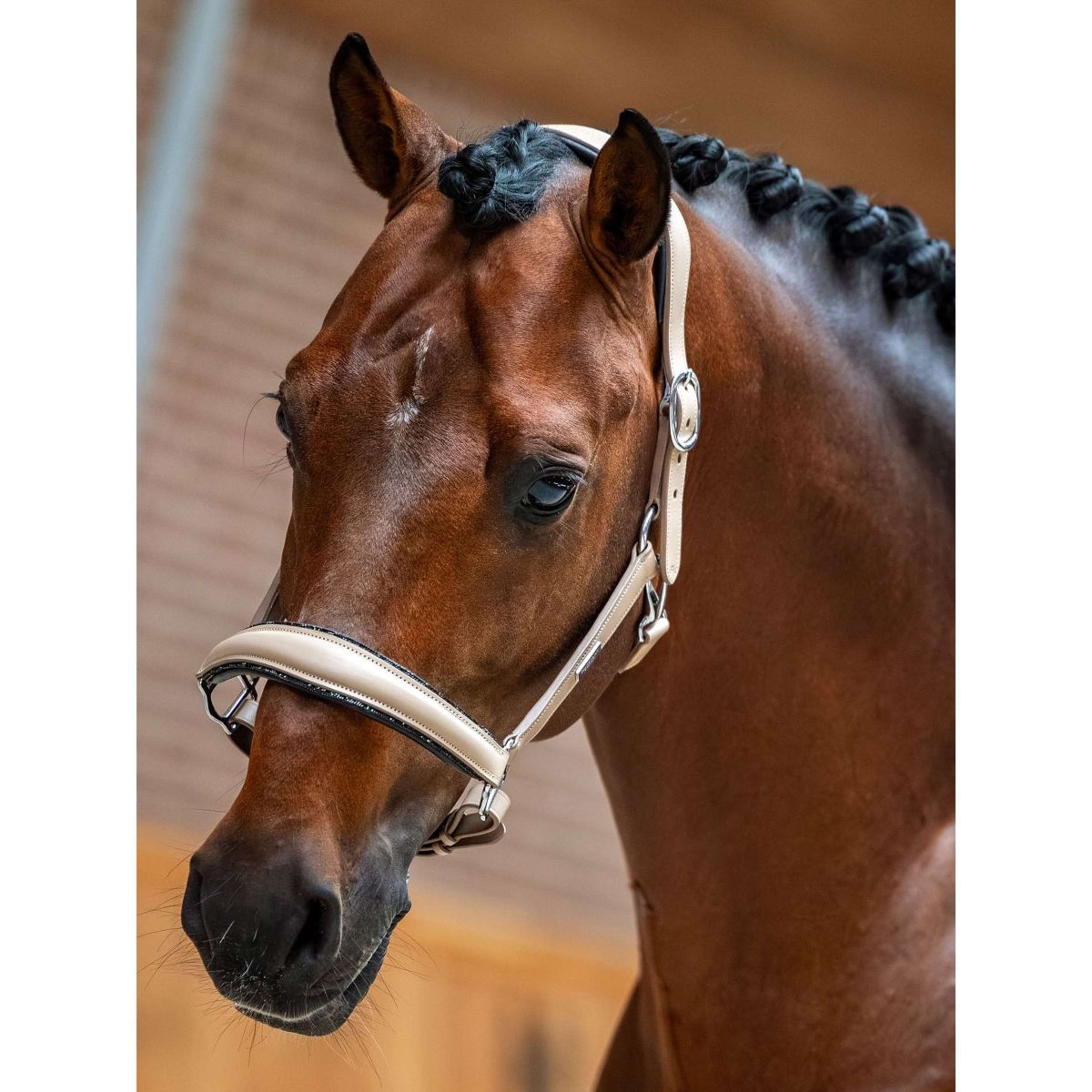 Equestrian Stockholm Cavezza Glimmer Leather Anatomic Sand Equestrian Stockholm Cavezza Glimmer Leather Anatomic Sand