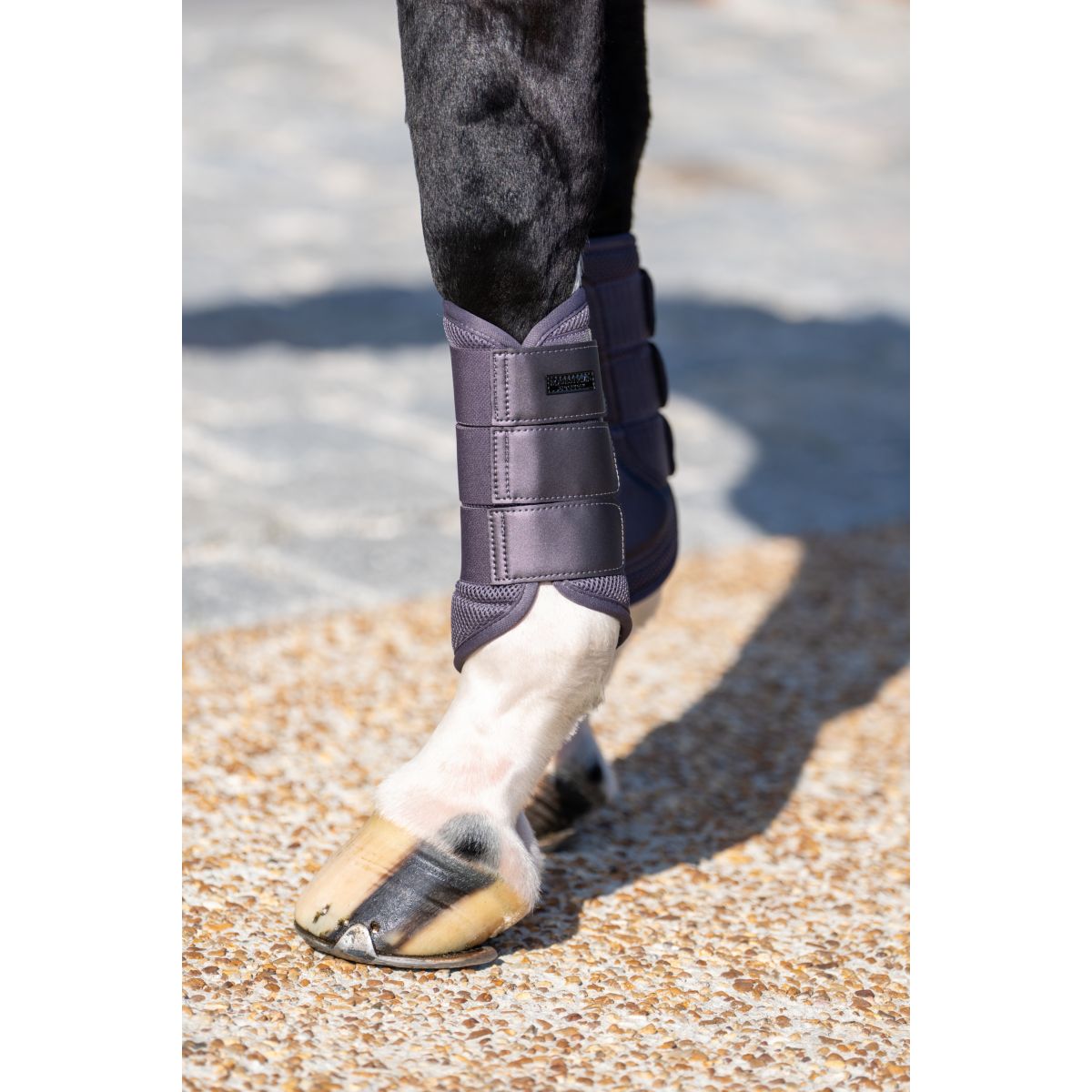 Equestrian Stockholm Parastinchi Classic Mesh Dark Violet