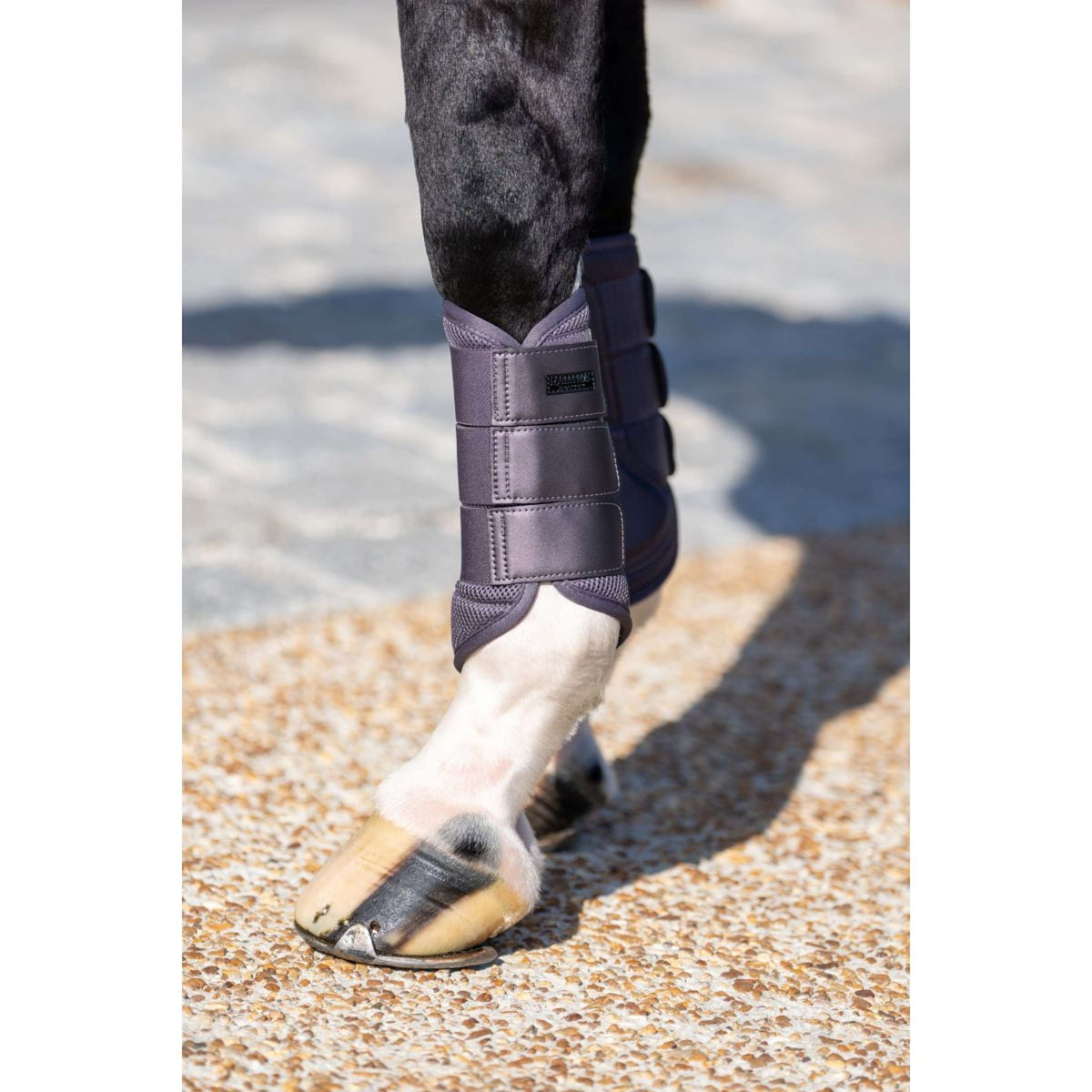 Equestrian Stockholm Parastinchi Classic Mesh Dark Violet