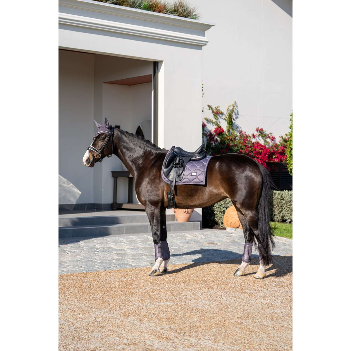 Equestrian Stockholm Sottosella Dressage Dark Violet